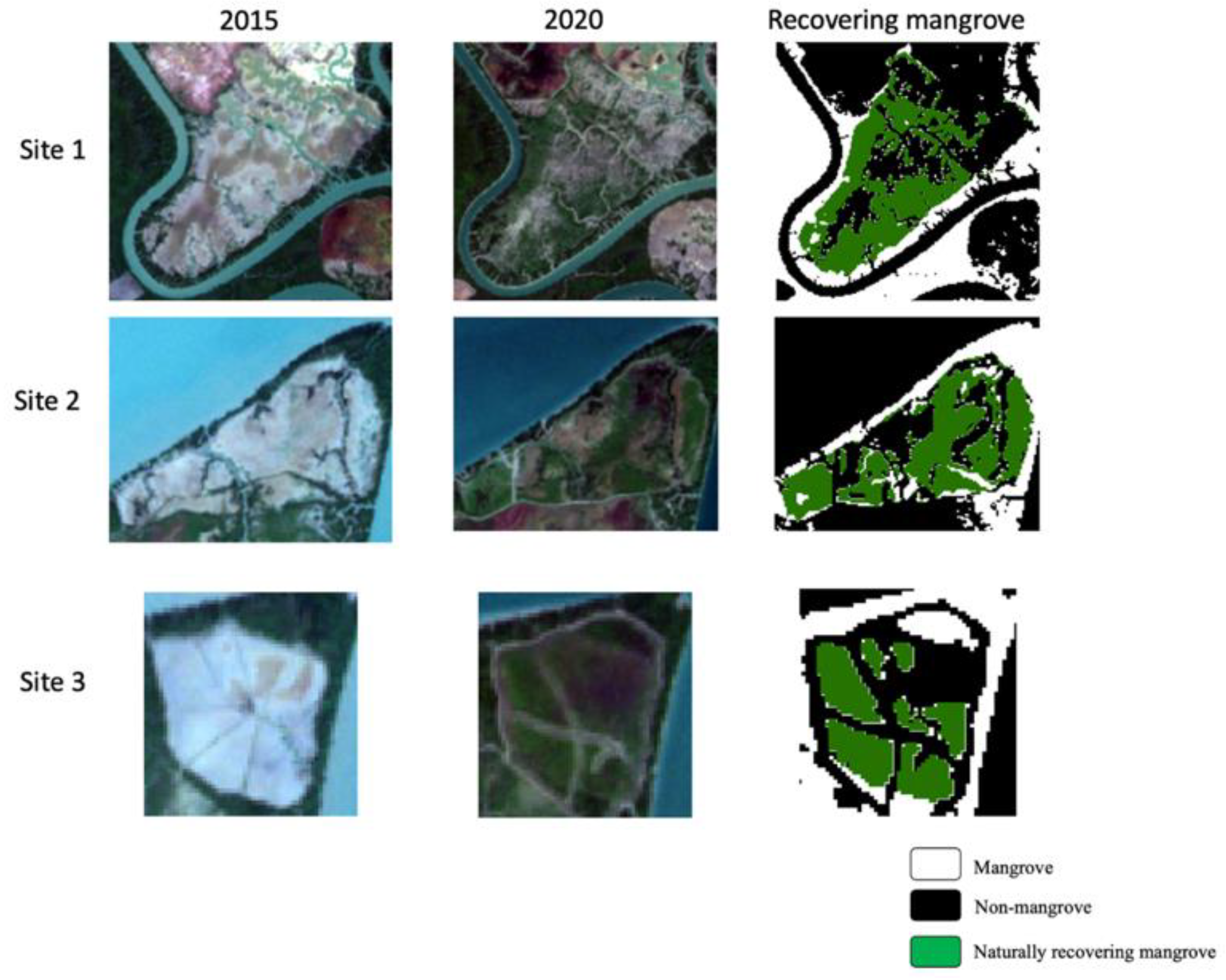 Remotesensing 13 00052 g016