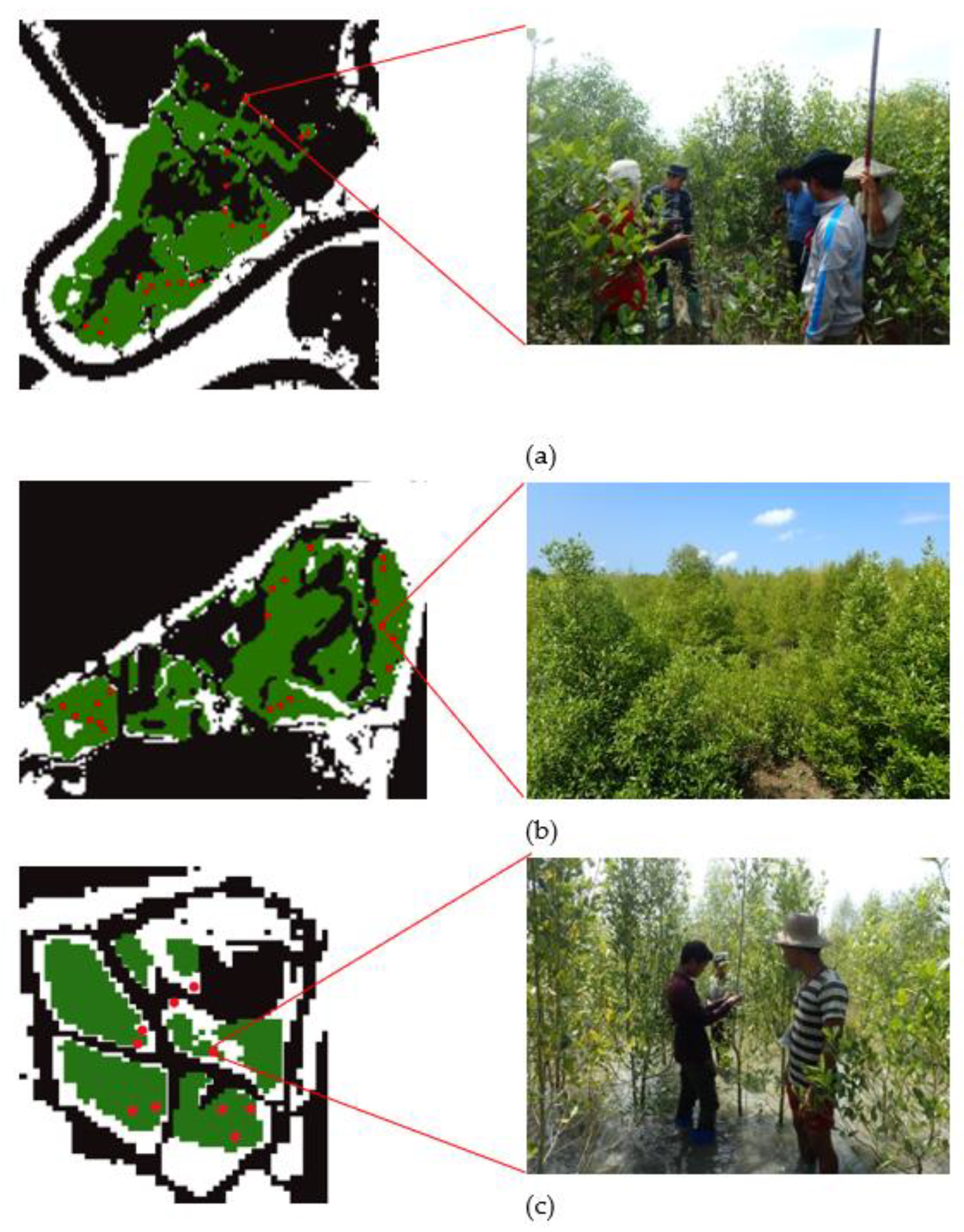 Remotesensing 13 00052 g017