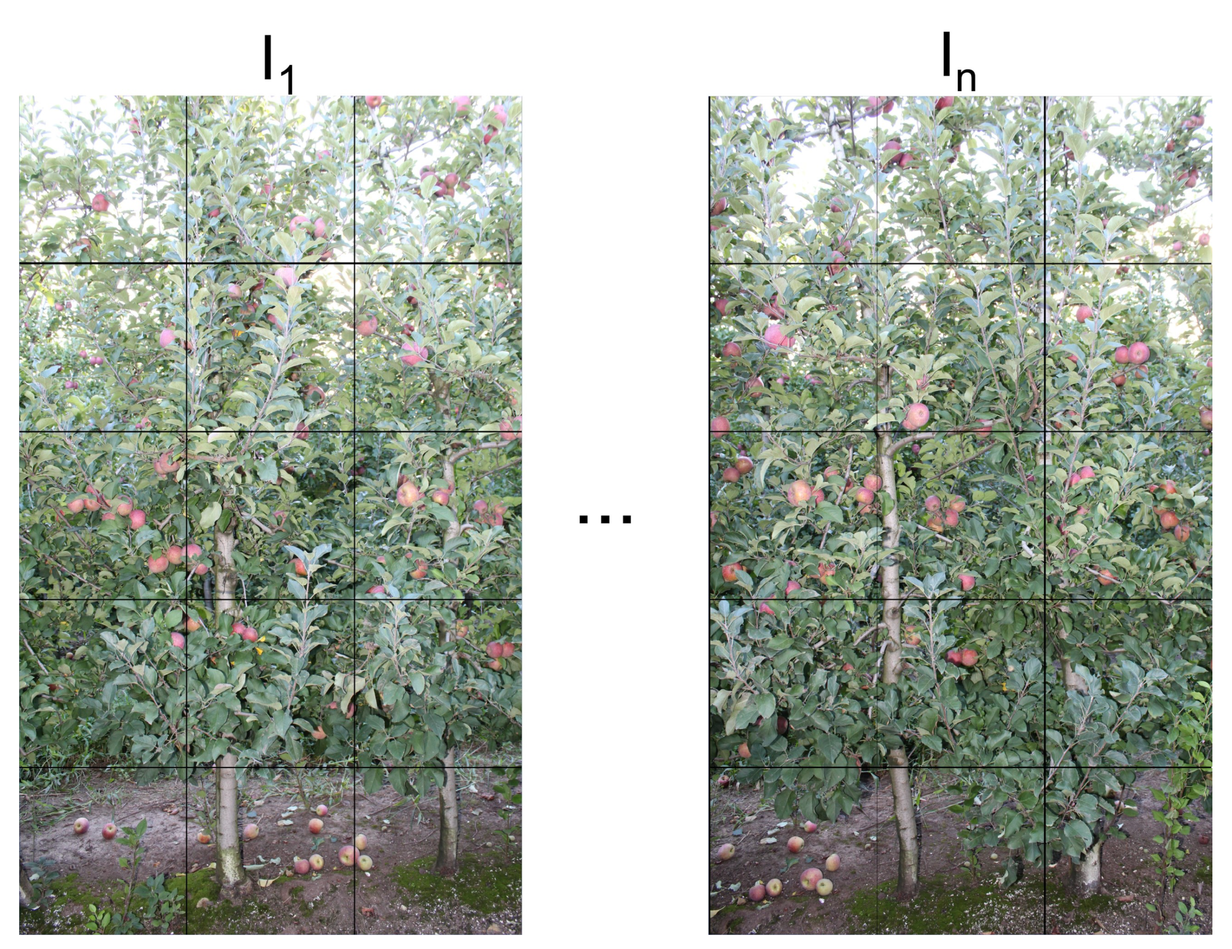 Remotesensing 13 00054 g004