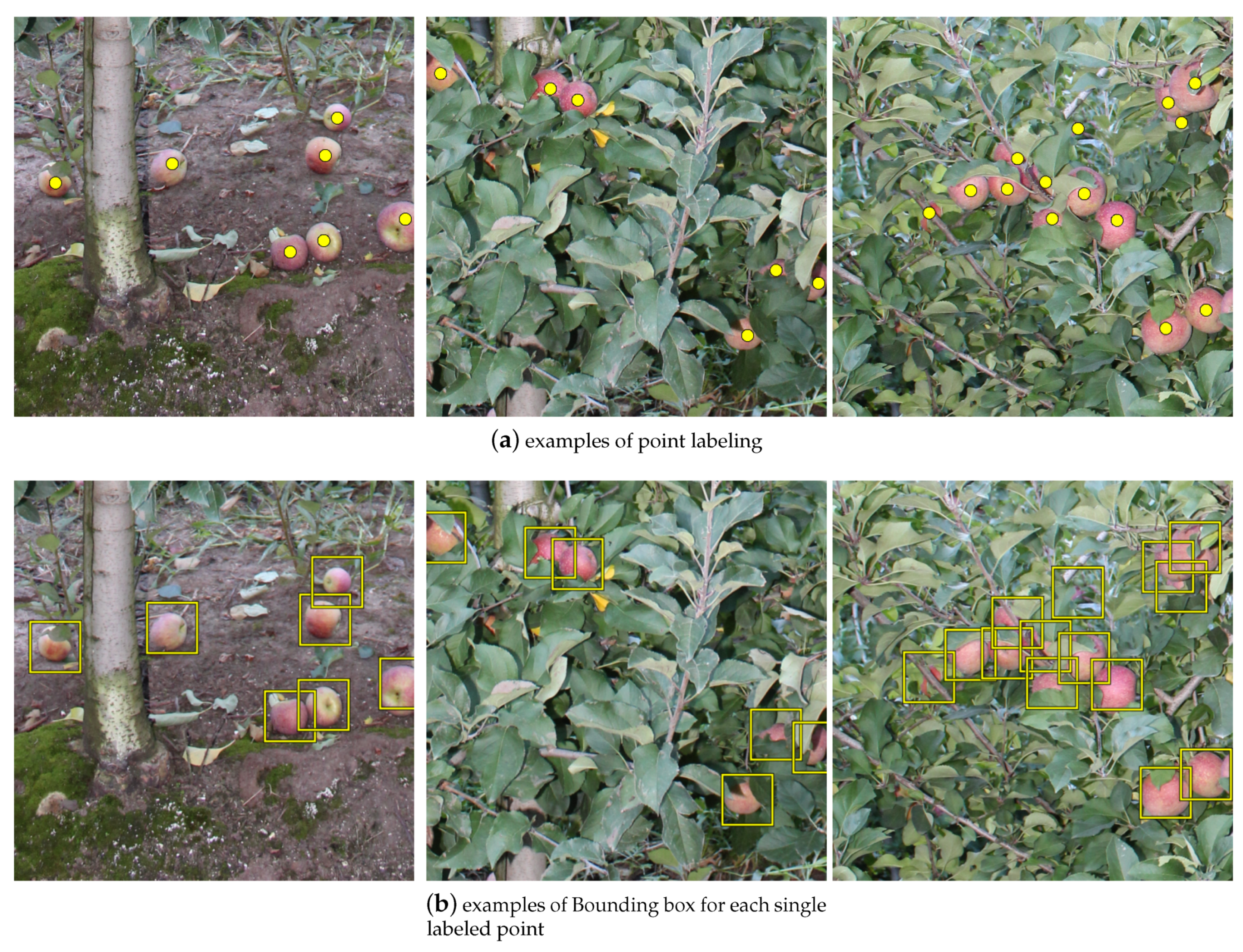 Remotesensing 13 00054 g005