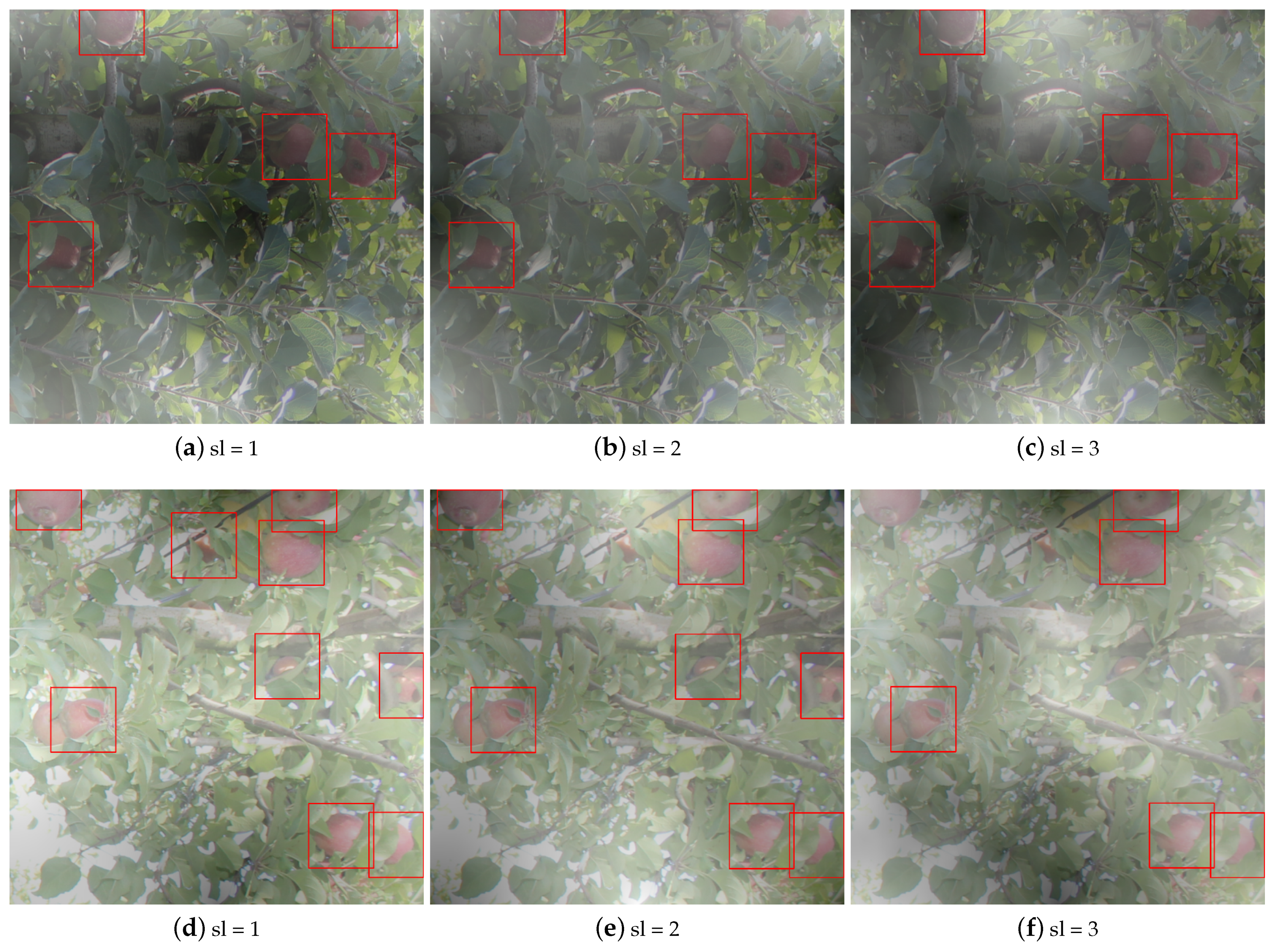 Remotesensing 13 00054 g010