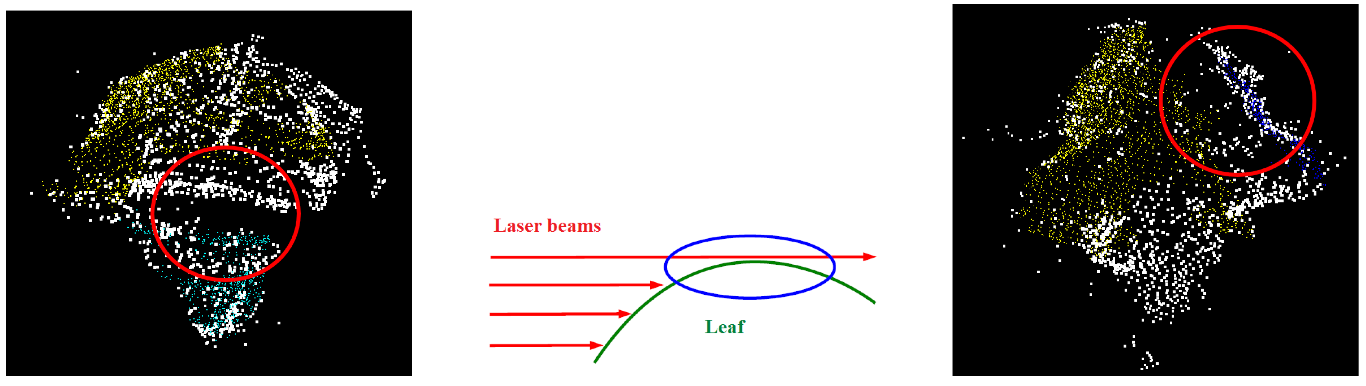 Remotesensing 13 00074 g013 Remotesensing 13 00074 g013