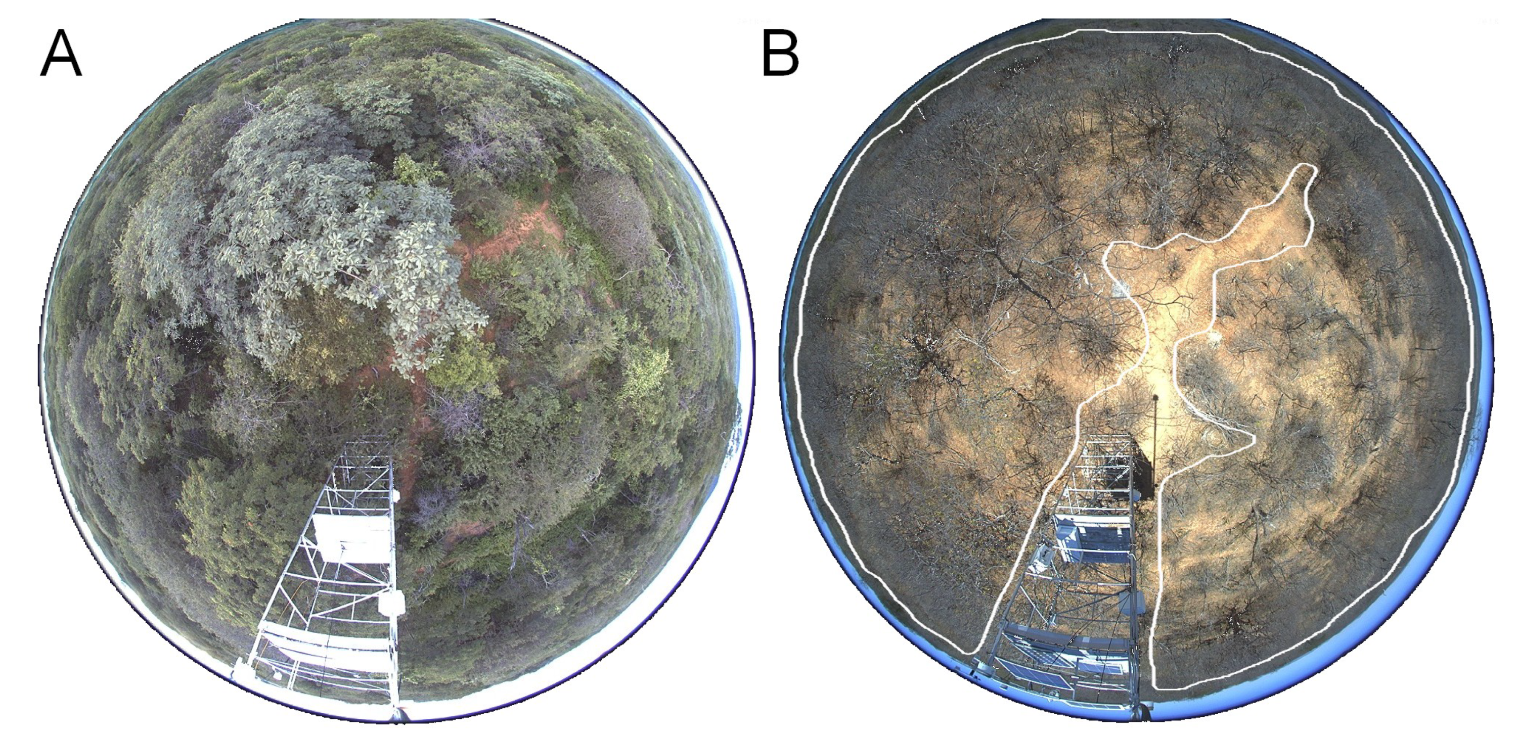 Remotesensing 13 00075 g004 Remotesensing 13 00075 g004