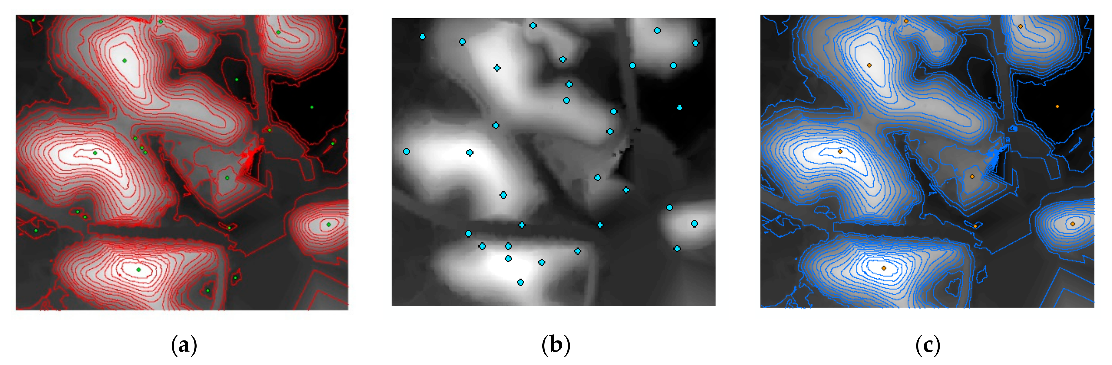 Remotesensing 13 00081 g010