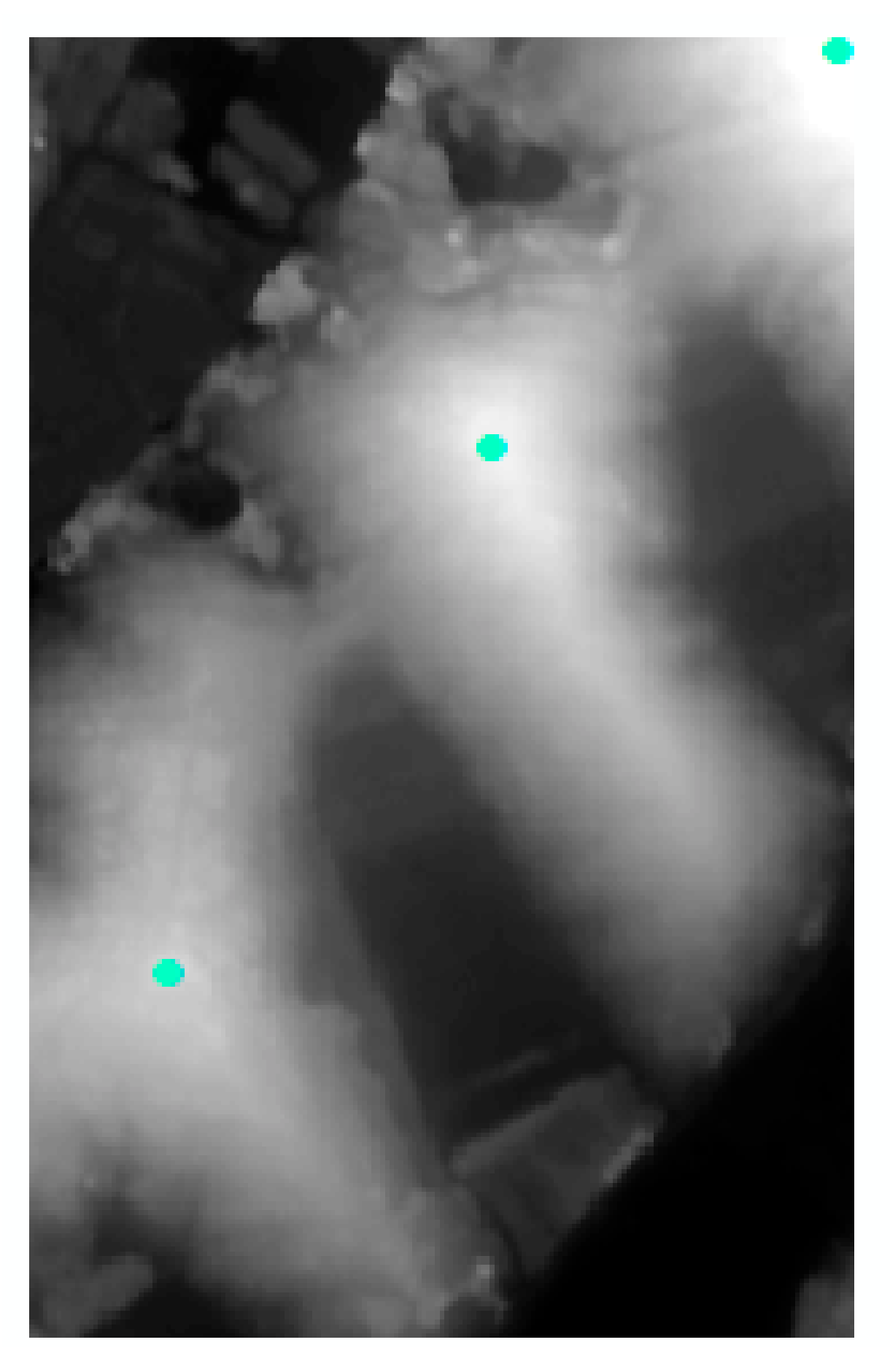 Remotesensing 13 00081 g021