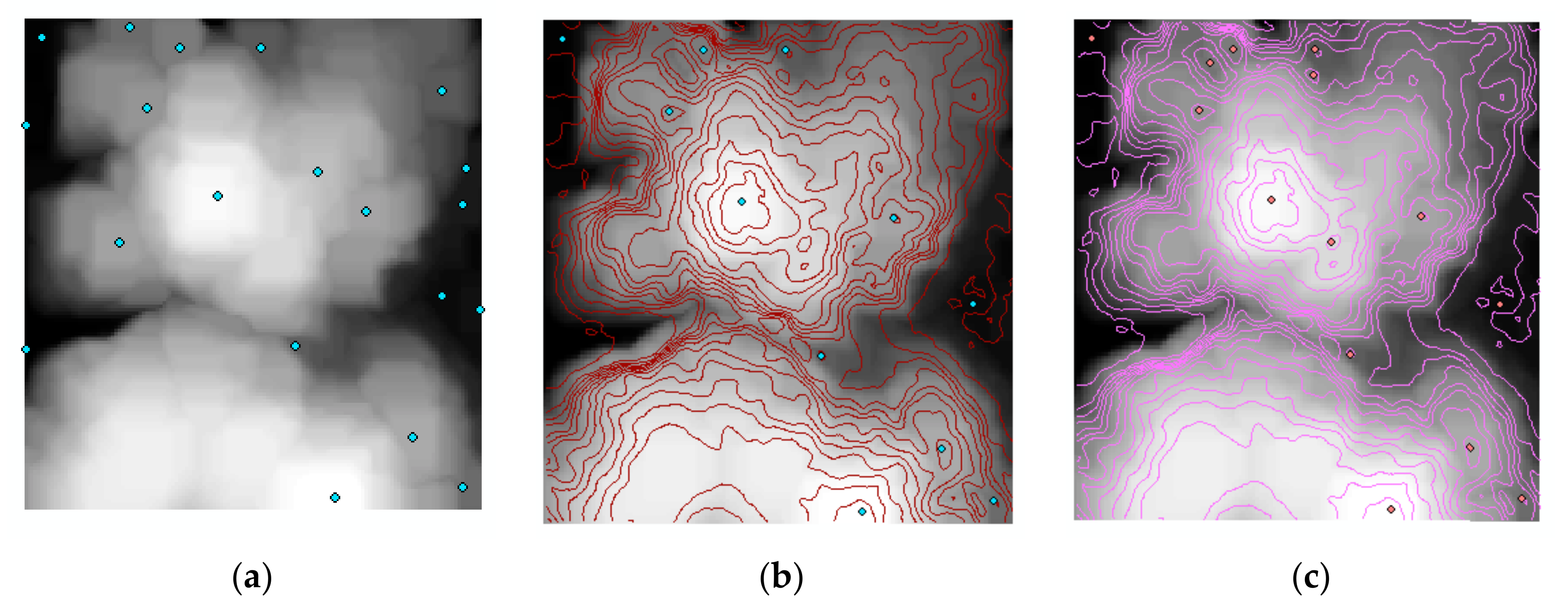 Remotesensing 13 00081 g030