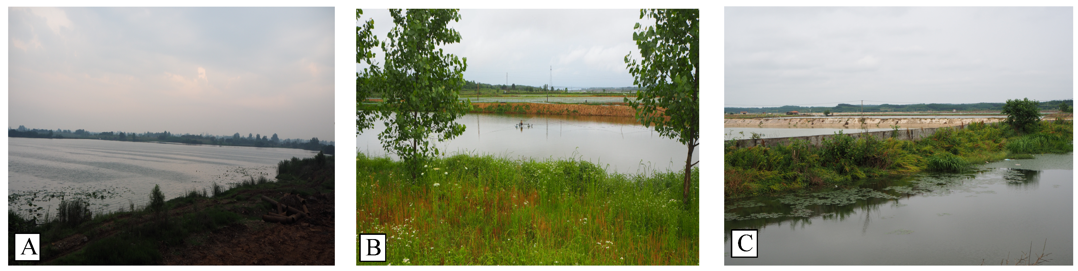 Remotesensing 13 00092 g002 Remotesensing 13 00092 g002