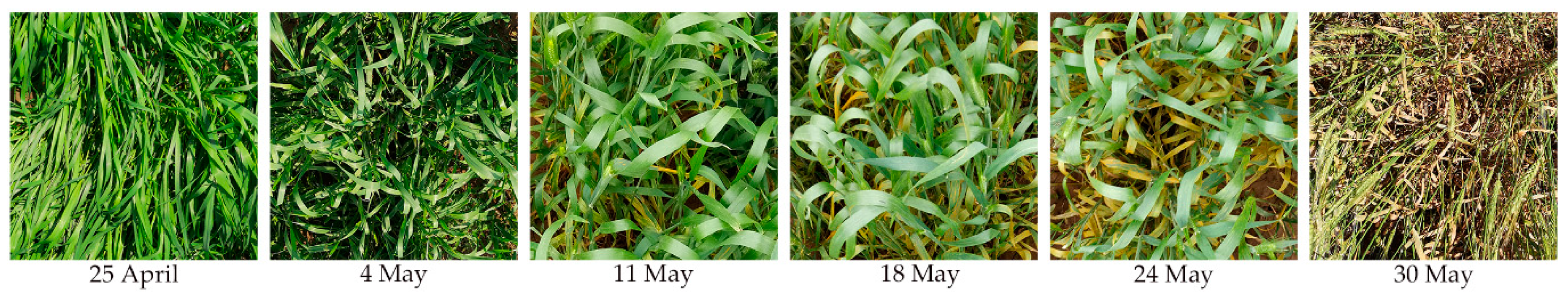 Remotesensing 13 00123 g002 Remotesensing 13 00123 g002