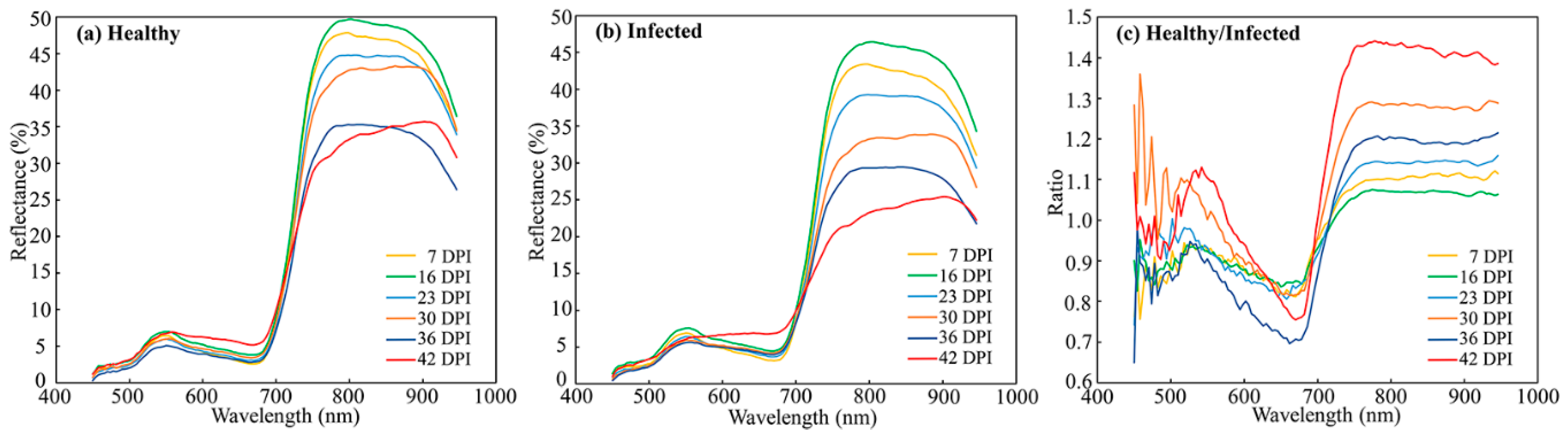 Remotesensing 13 00123 g005 Remotesensing 13 00123 g005