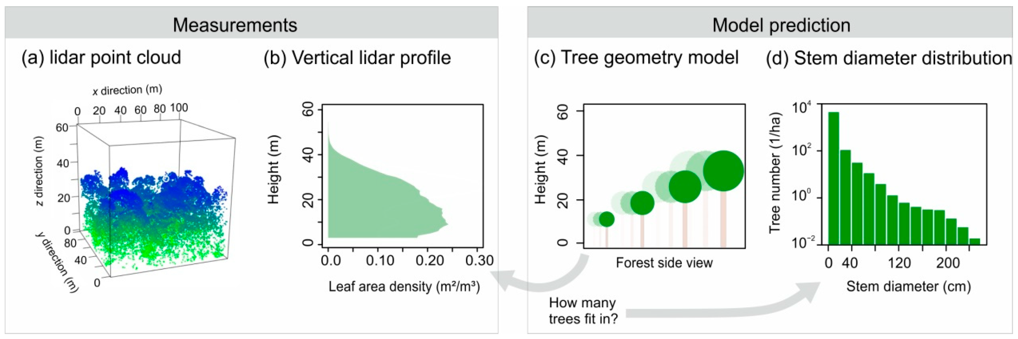 Remotesensing 13 00131 g001 Remotesensing 13 00131 g001