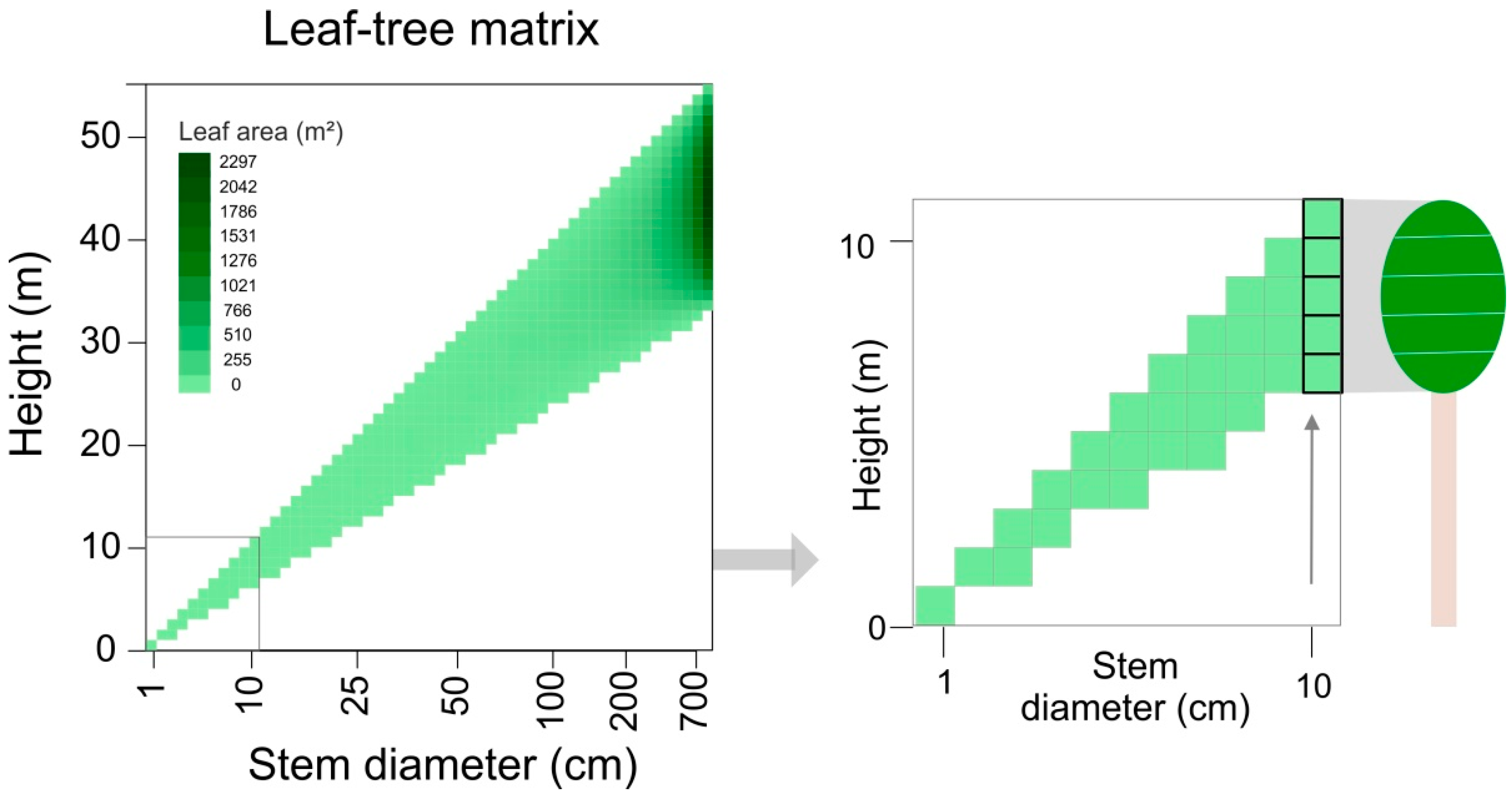 Remotesensing 13 00131 g002 Remotesensing 13 00131 g002