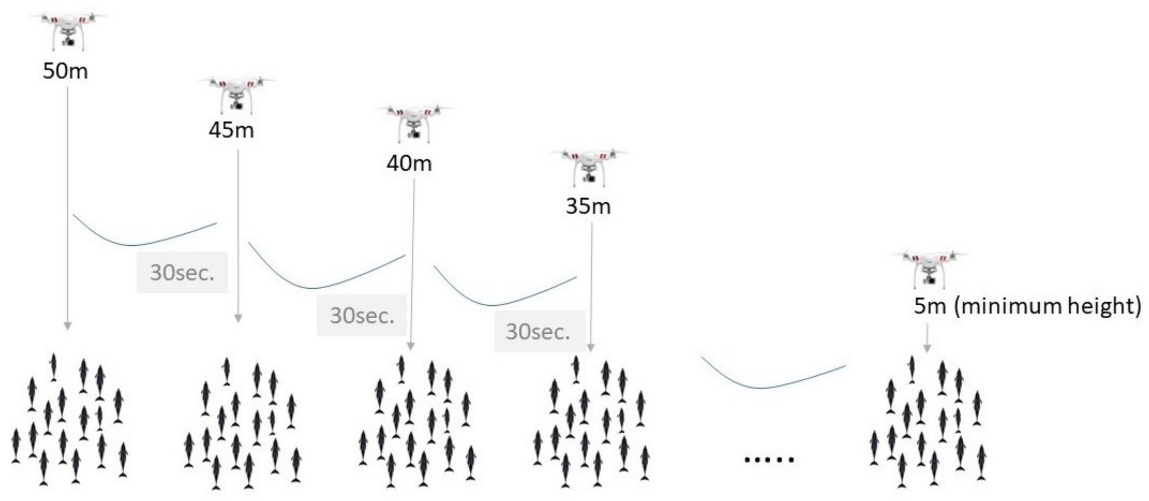 Remotesensing 13 00156 g001 Remotesensing 13 00156 g001