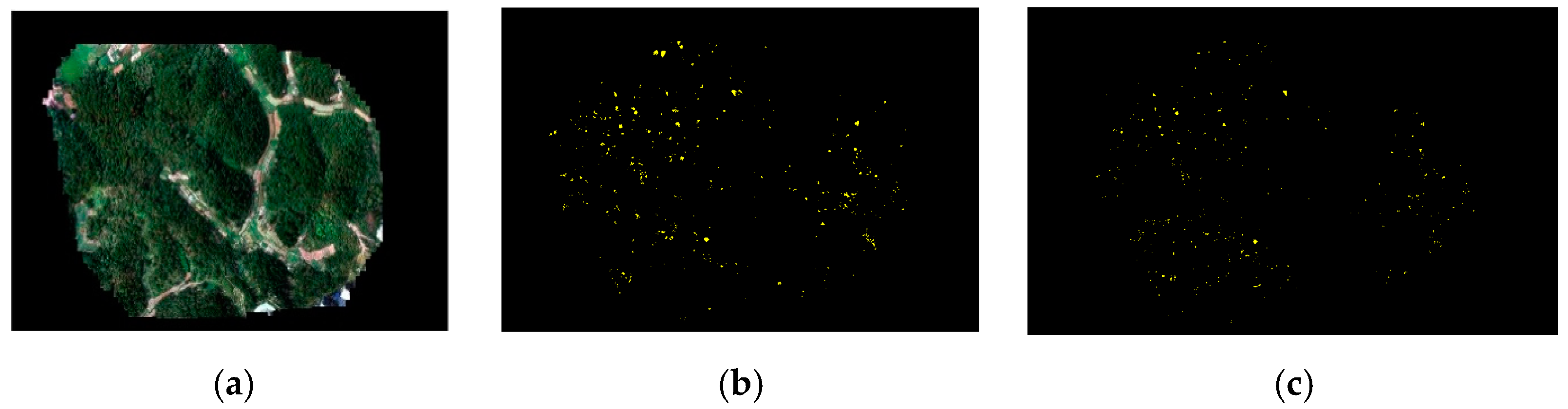 Remotesensing 13 00162 g007