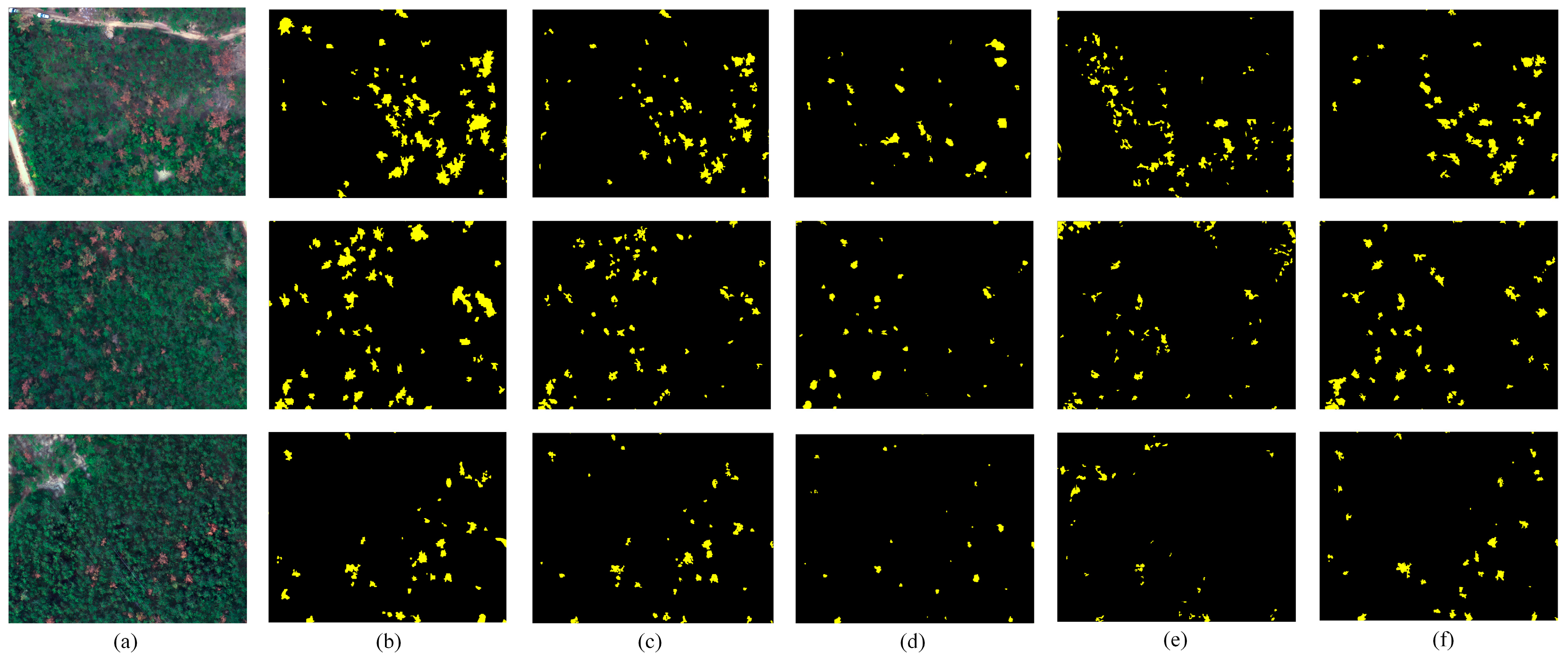 Remotesensing 13 00162 g011