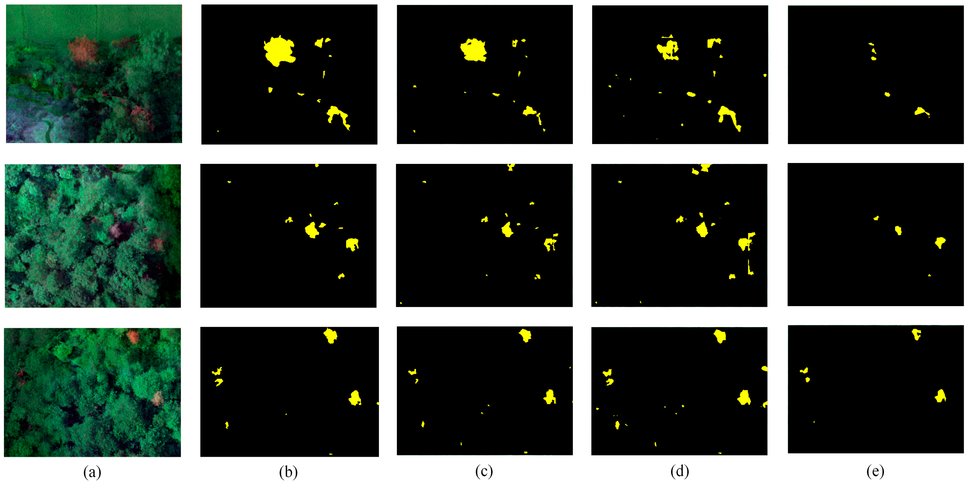 Remotesensing 13 00162 g012