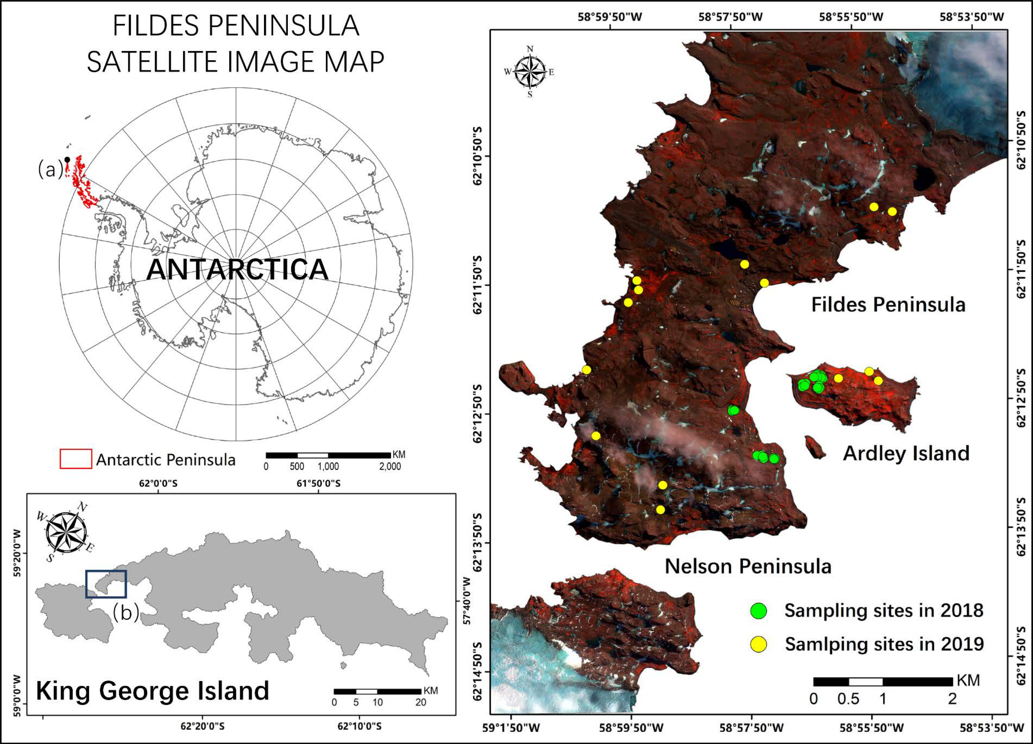 Remotesensing 13 00166 g001 Remotesensing 13 00166 g001