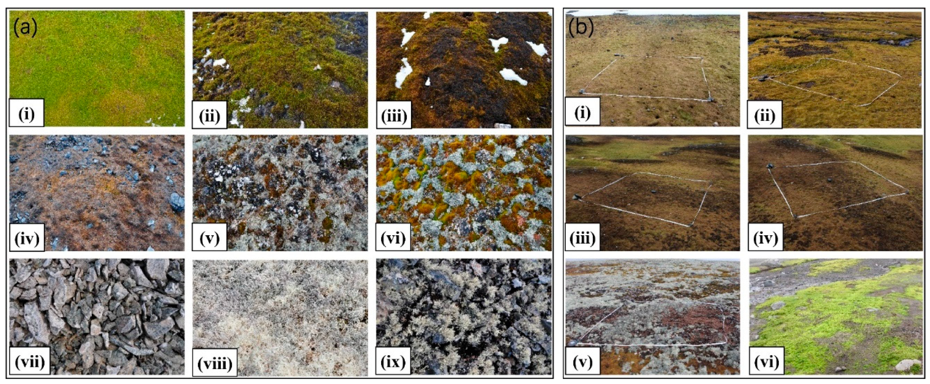 Remotesensing 13 00166 g002 Remotesensing 13 00166 g002