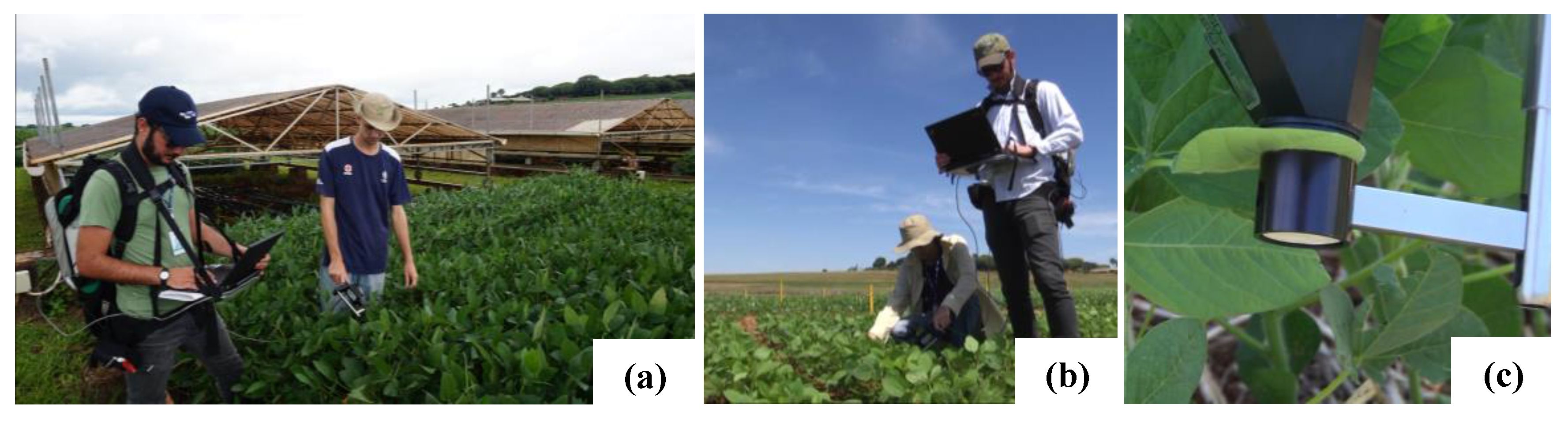 Remotesensing 13 00172 g005