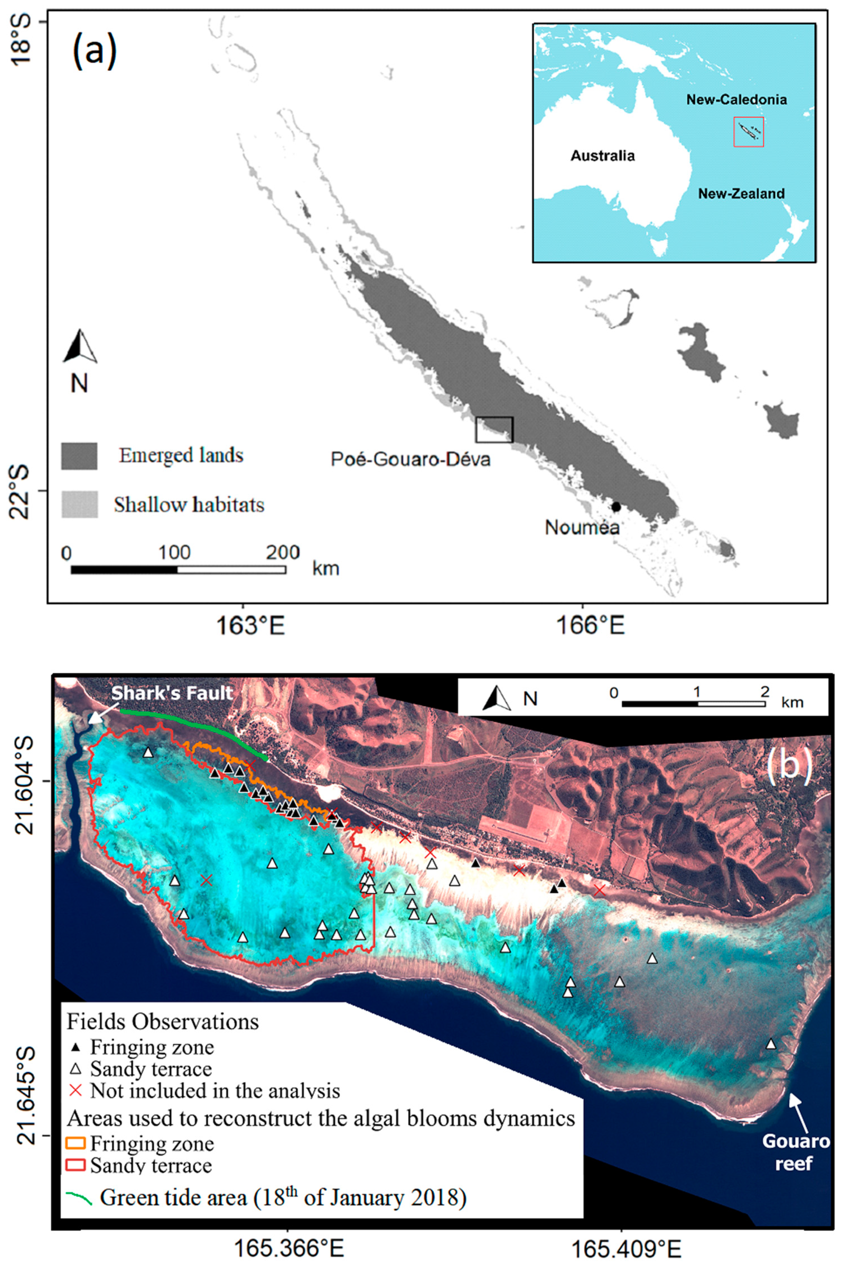 Remotesensing 13 00211 g001