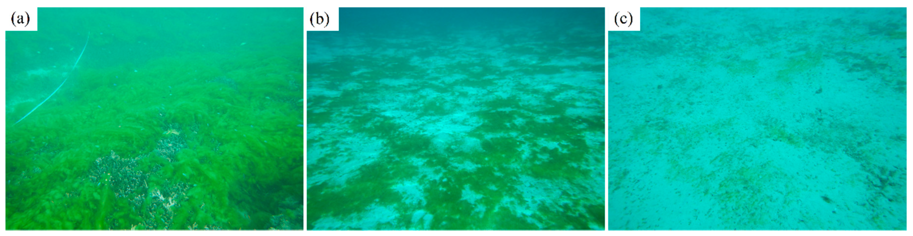 Remotesensing 13 00211 g002