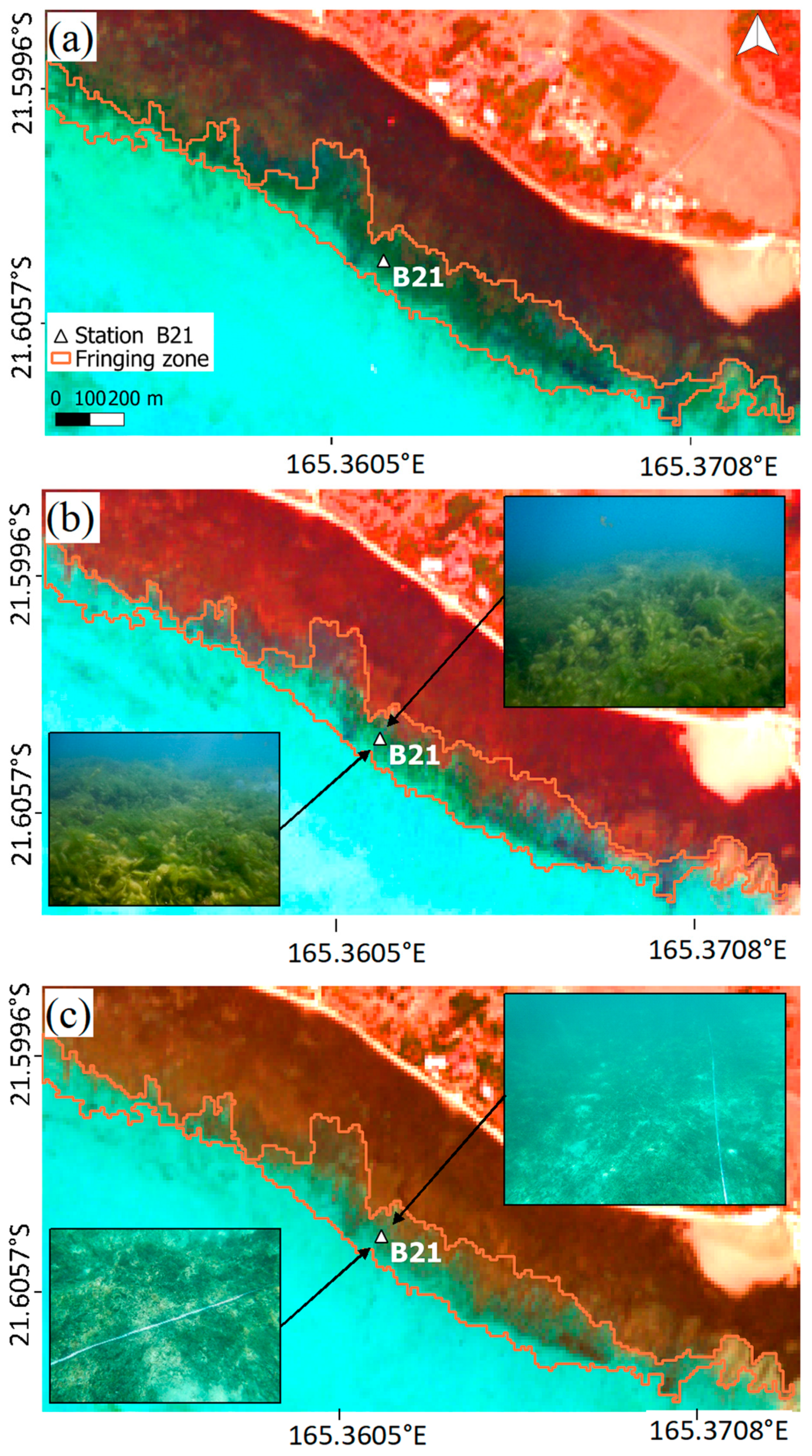 Remotesensing 13 00211 g003