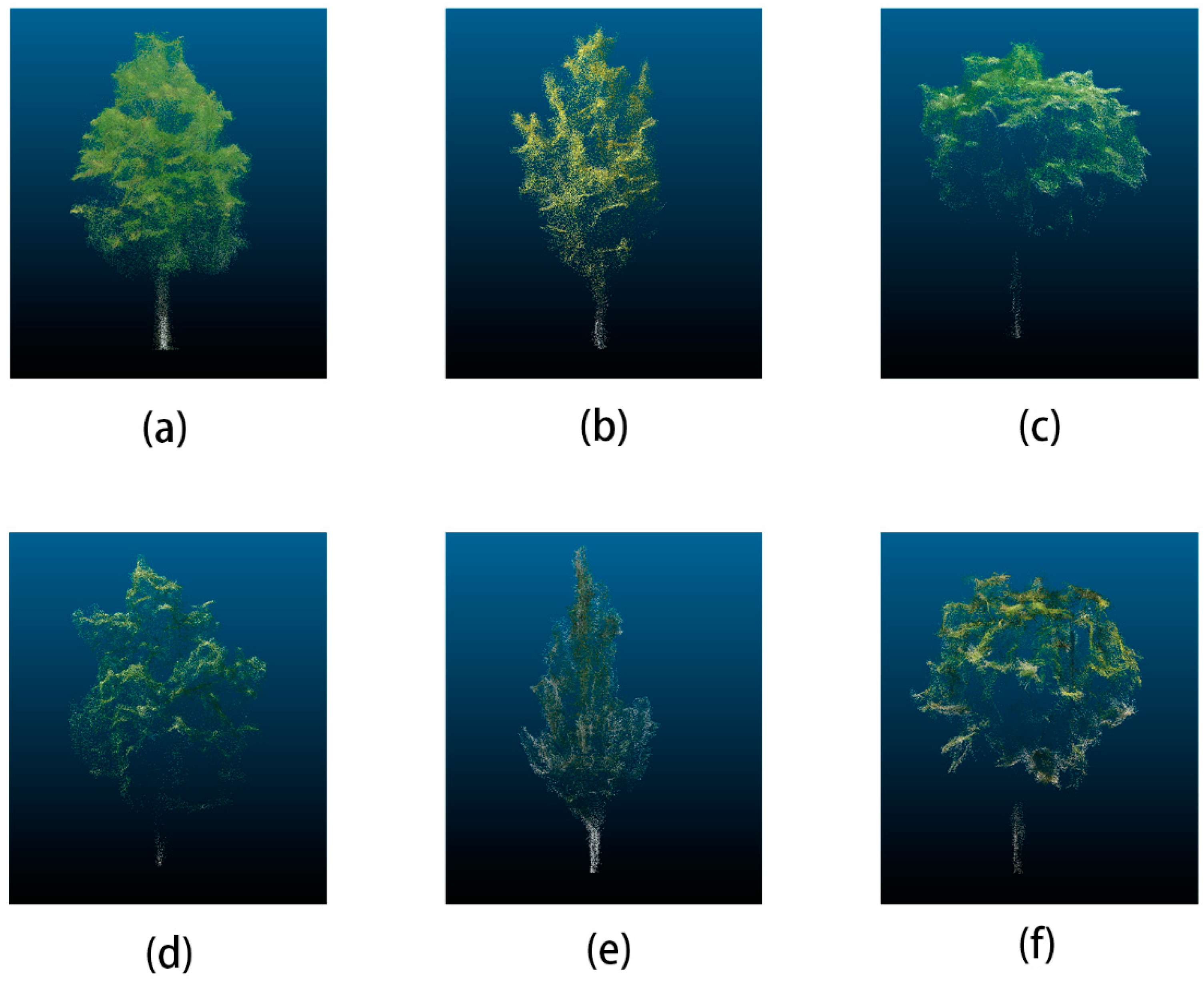 Remotesensing 13 00216 g004 Remotesensing 13 00216 g004