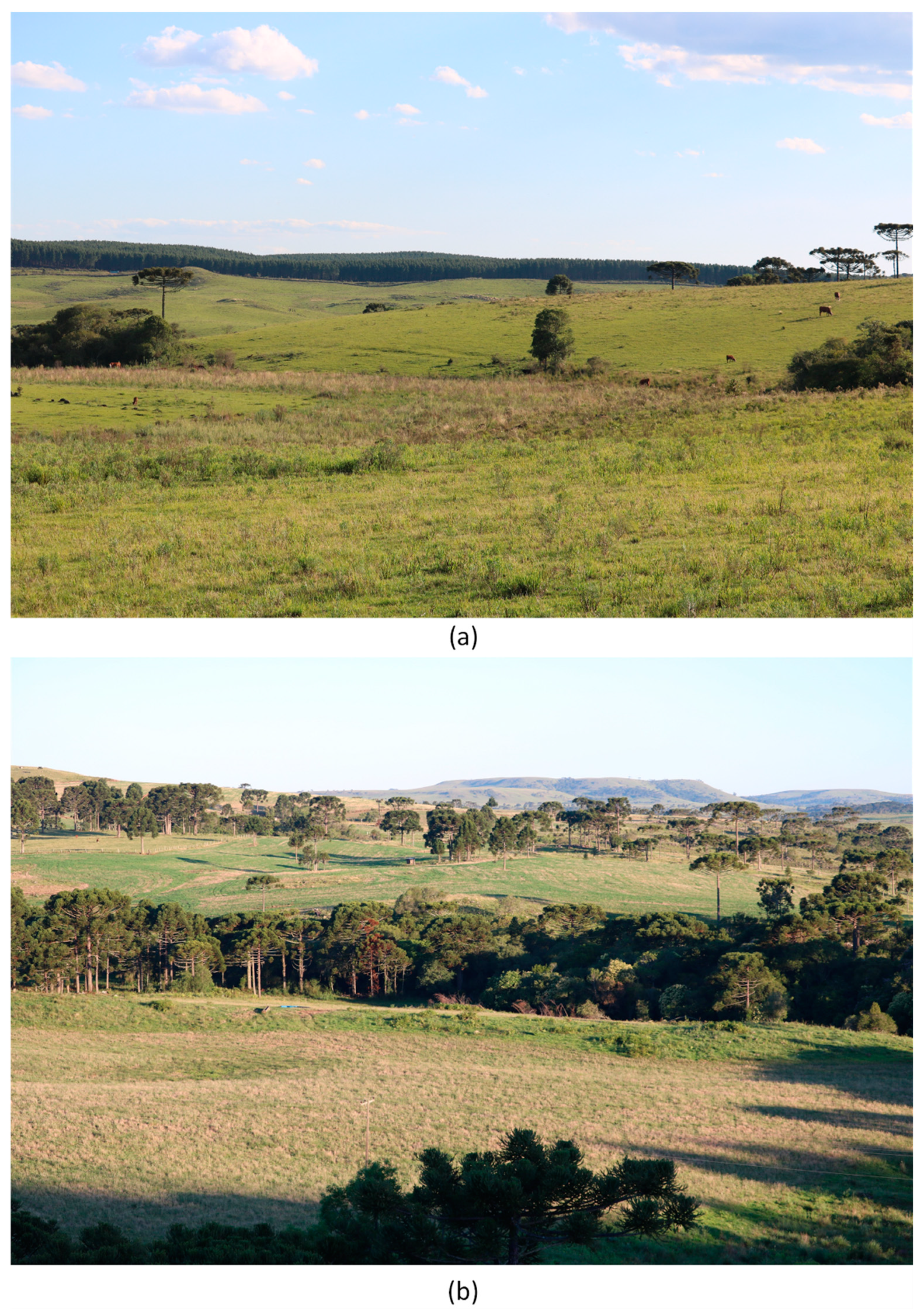 Remotesensing 13 00229 g0a1