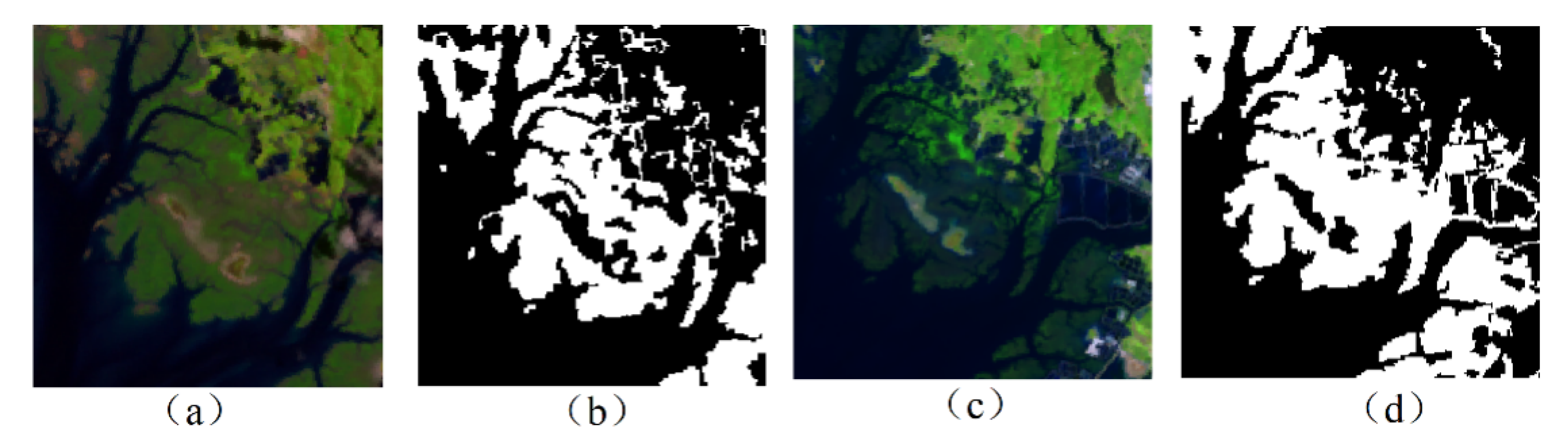 Remotesensing 13 00245 g008