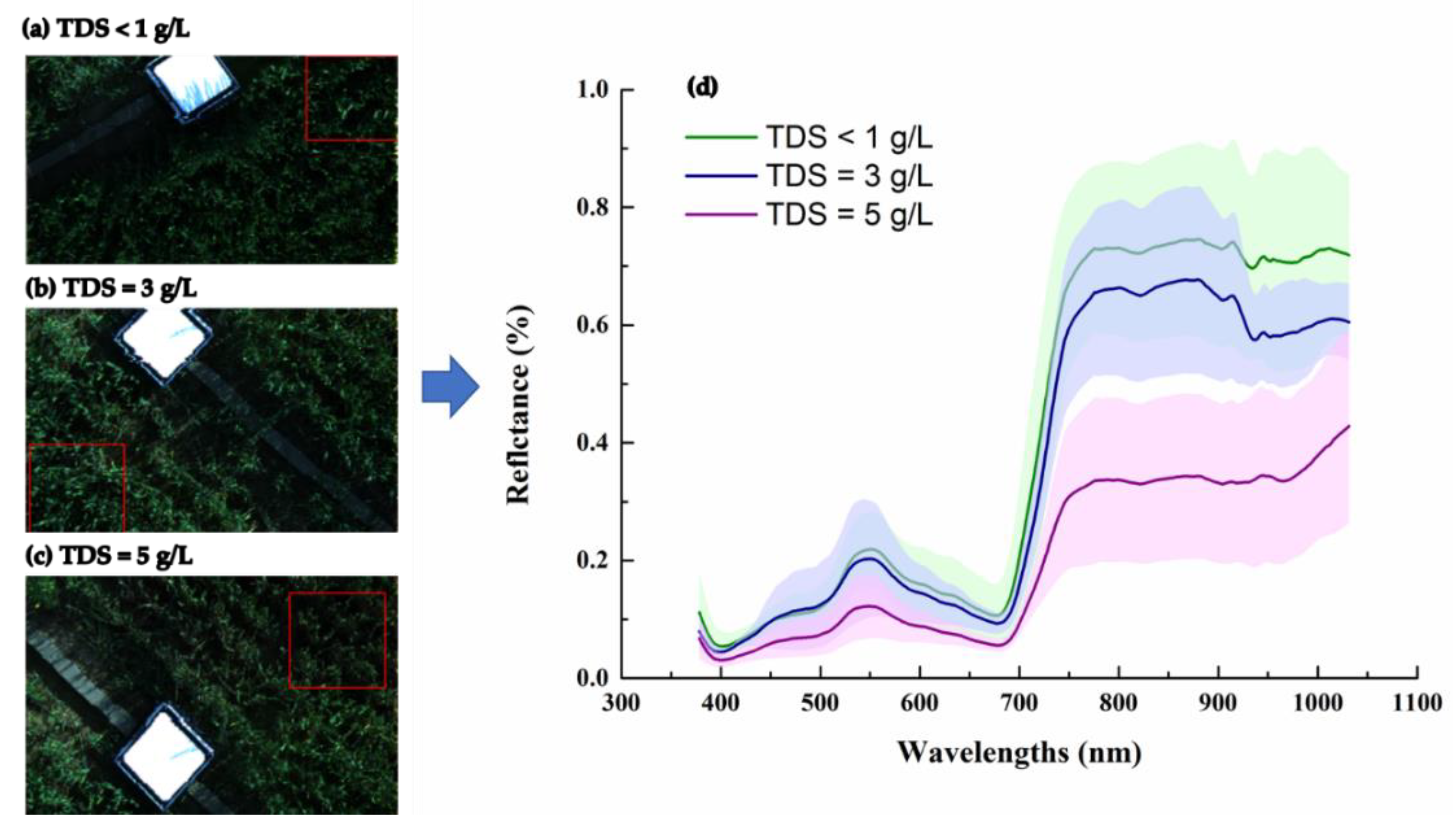 Remotesensing 13 00250 g006 Remotesensing 13 00250 g006