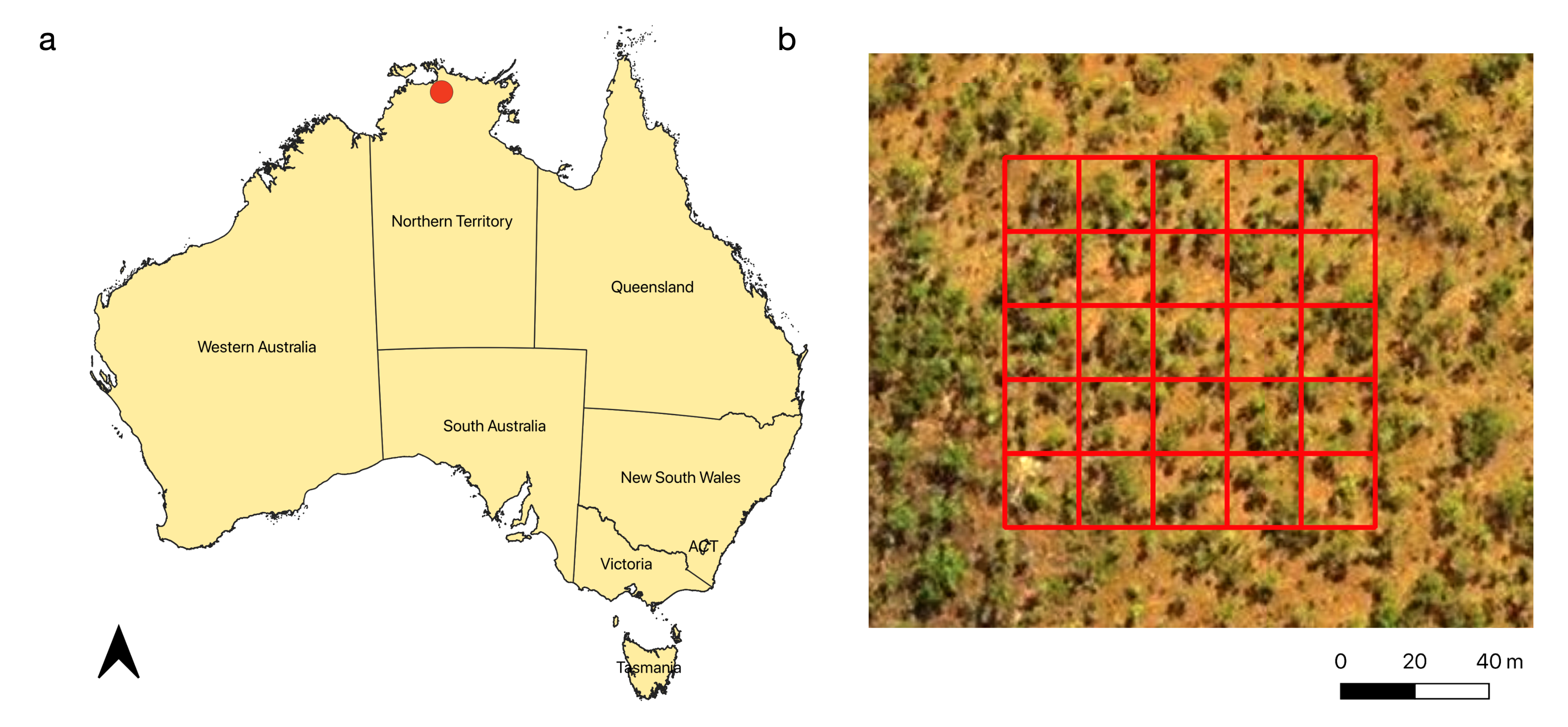 Remotesensing 13 00257 g001 Remotesensing 13 00257 g001