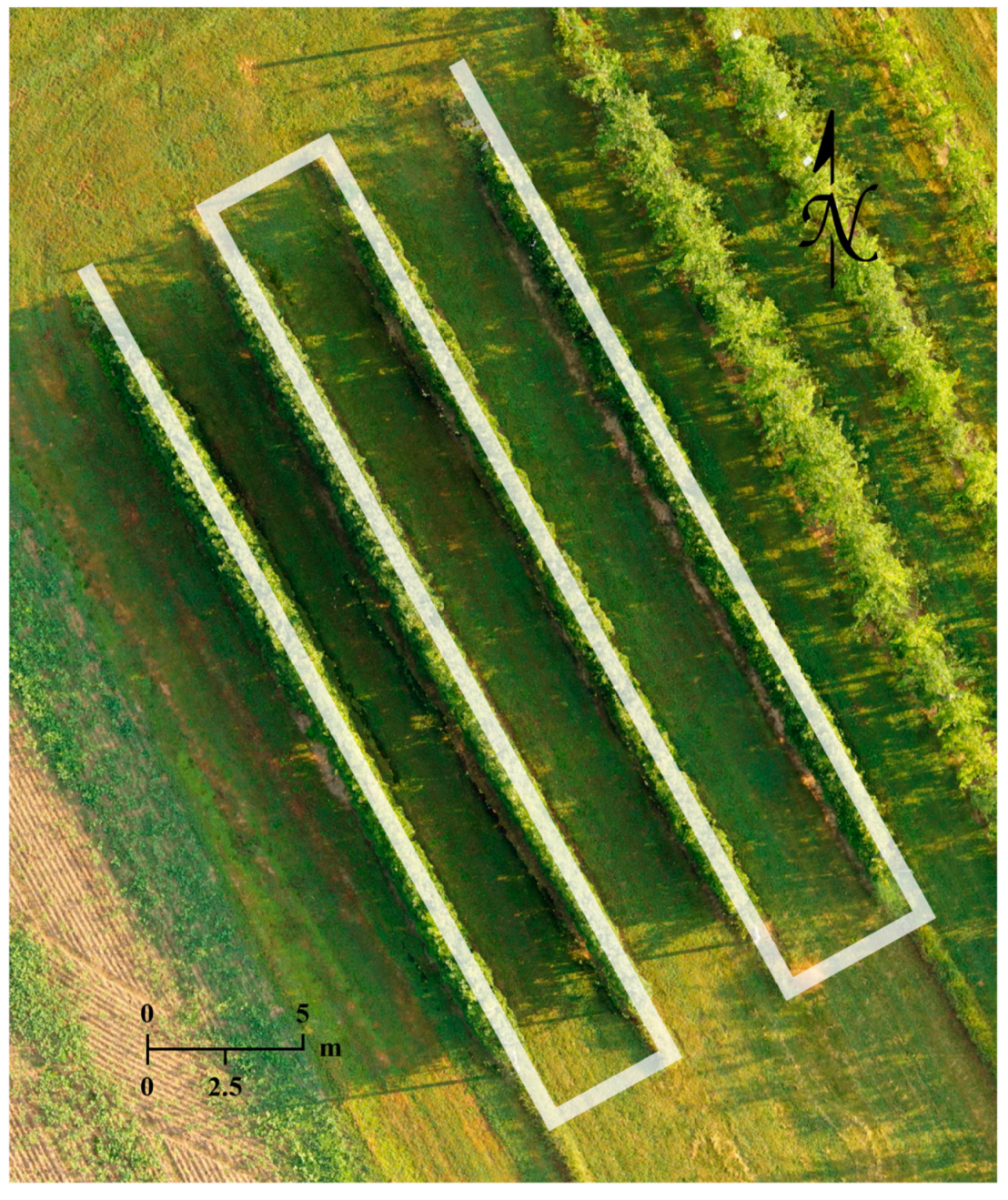 Remotesensing 13 00273 g002 Remotesensing 13 00273 g002