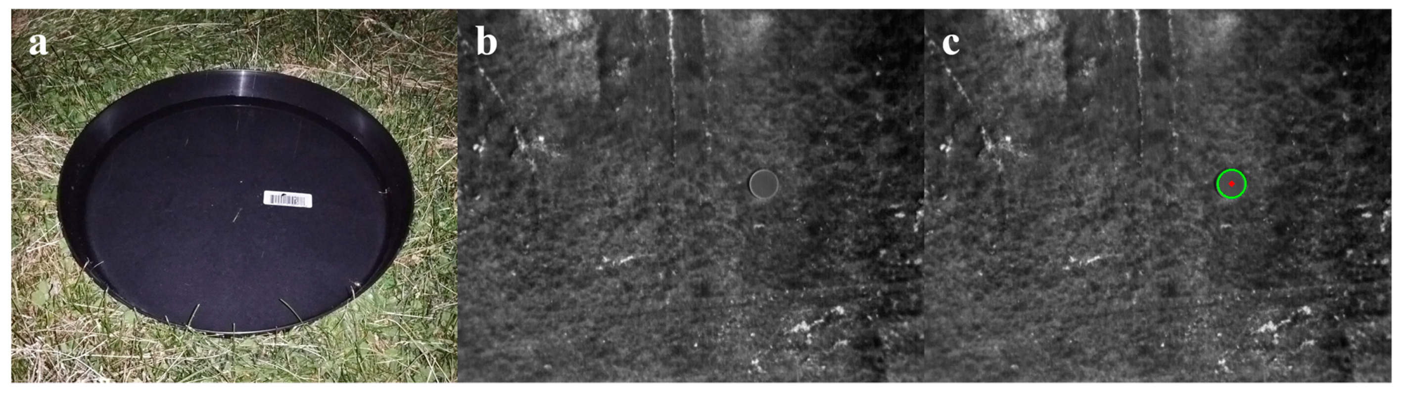 Remotesensing 13 00273 g005 Remotesensing 13 00273 g005