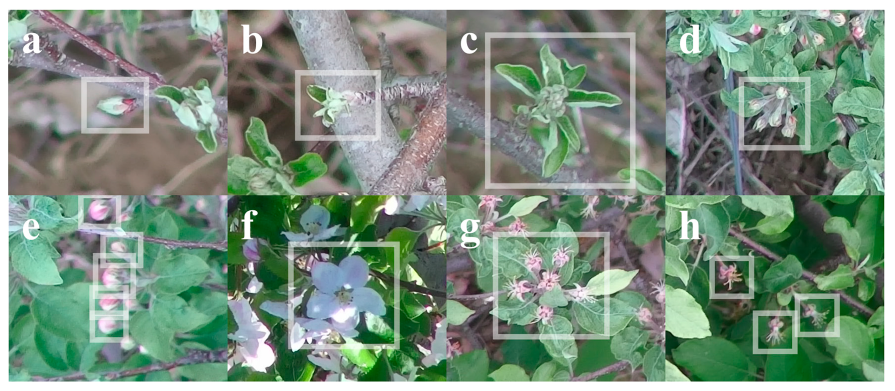 Remotesensing 13 00273 g006 Remotesensing 13 00273 g006