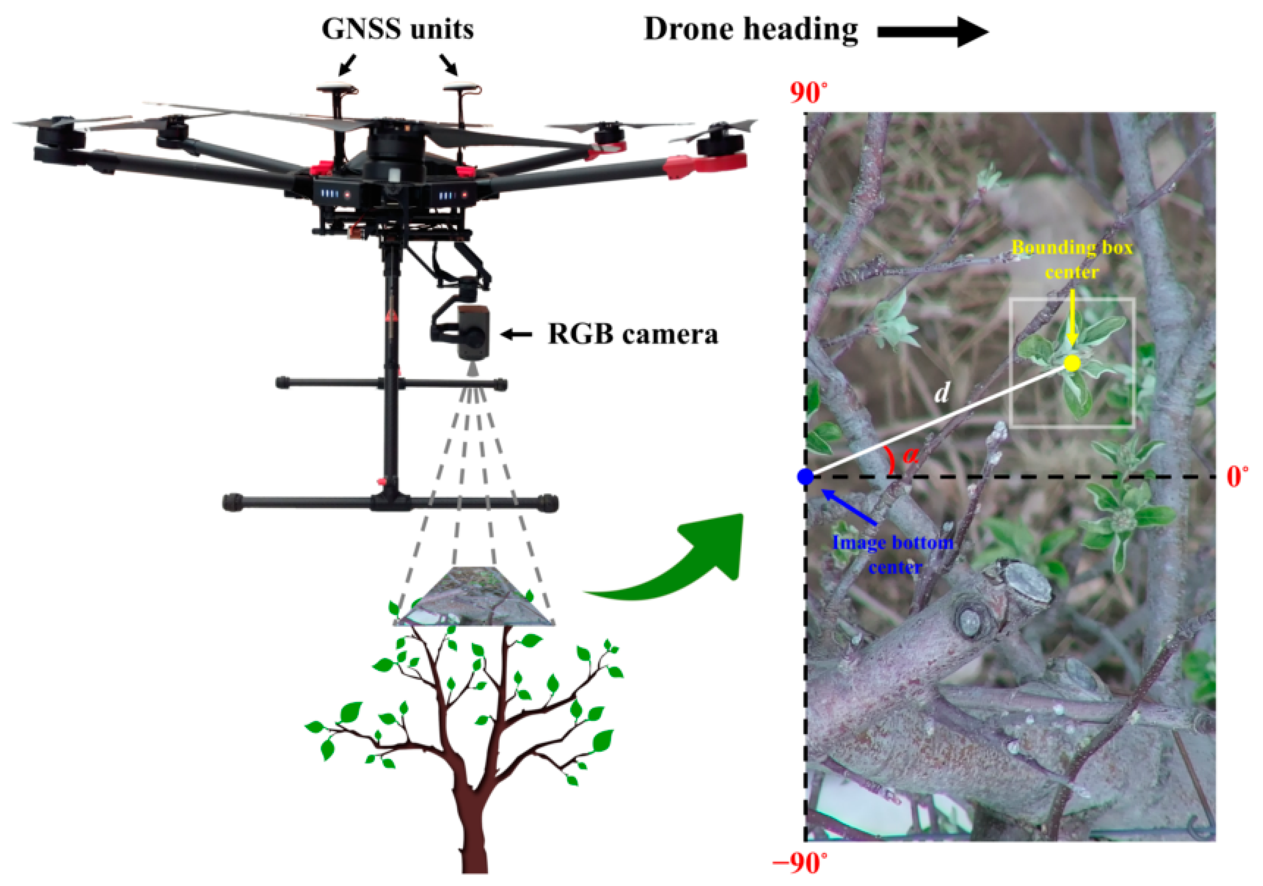 Remotesensing 13 00273 g007 Remotesensing 13 00273 g007