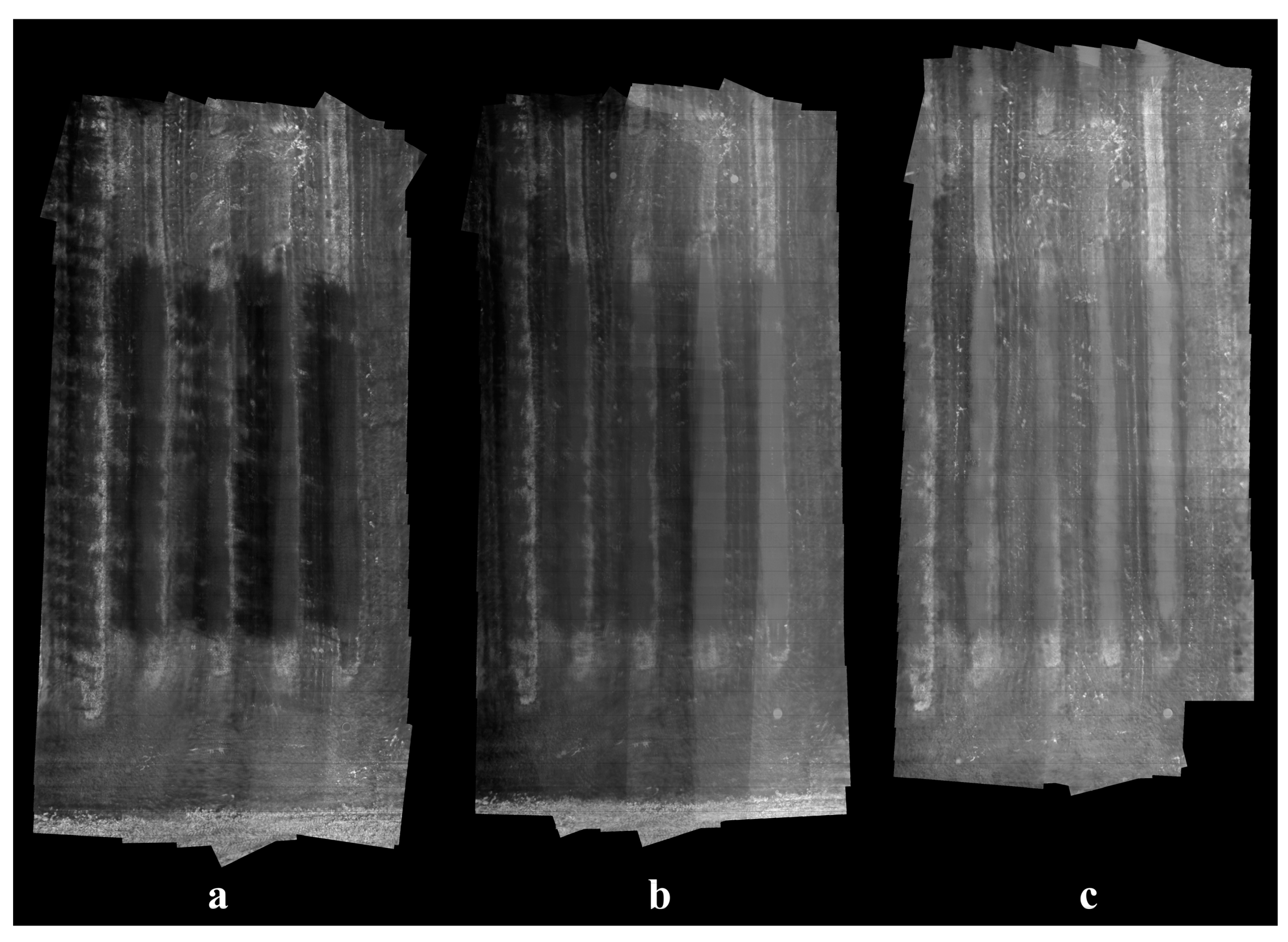 Remotesensing 13 00273 g010 Remotesensing 13 00273 g010