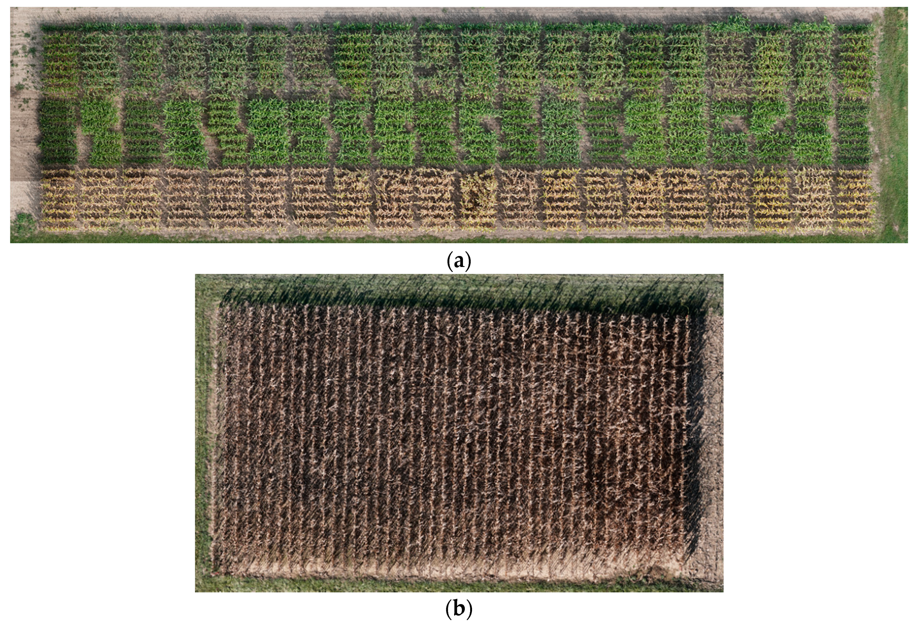 Remotesensing 13 00276 g006