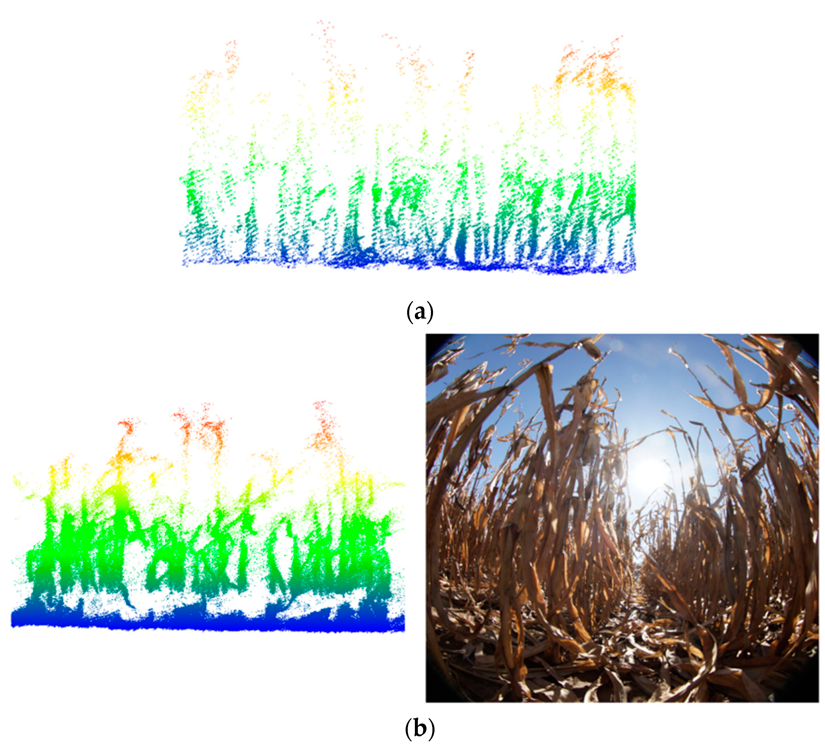 Remotesensing 13 00276 g028