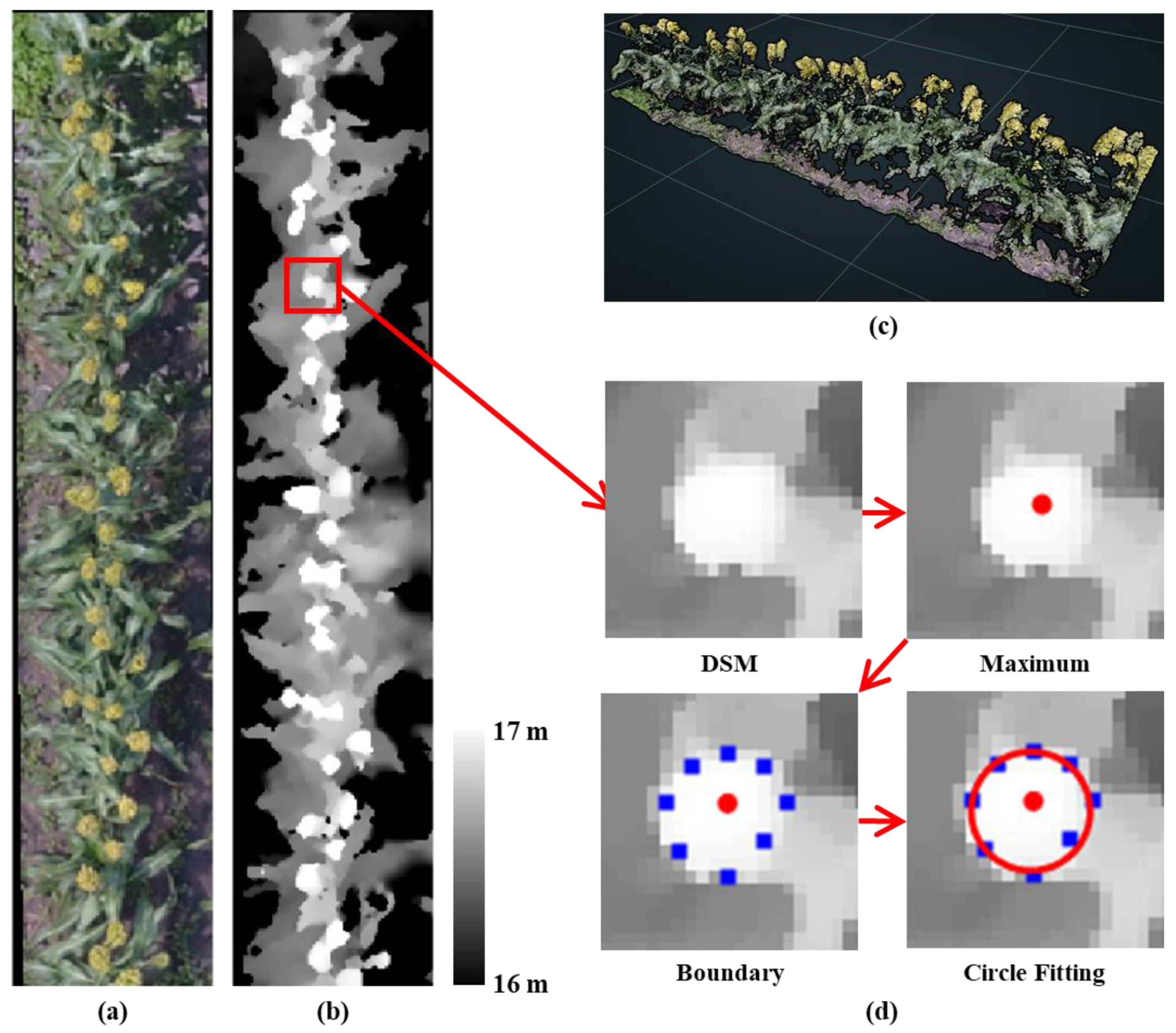 Remotesensing 13 00282 g002 Remotesensing 13 00282 g002