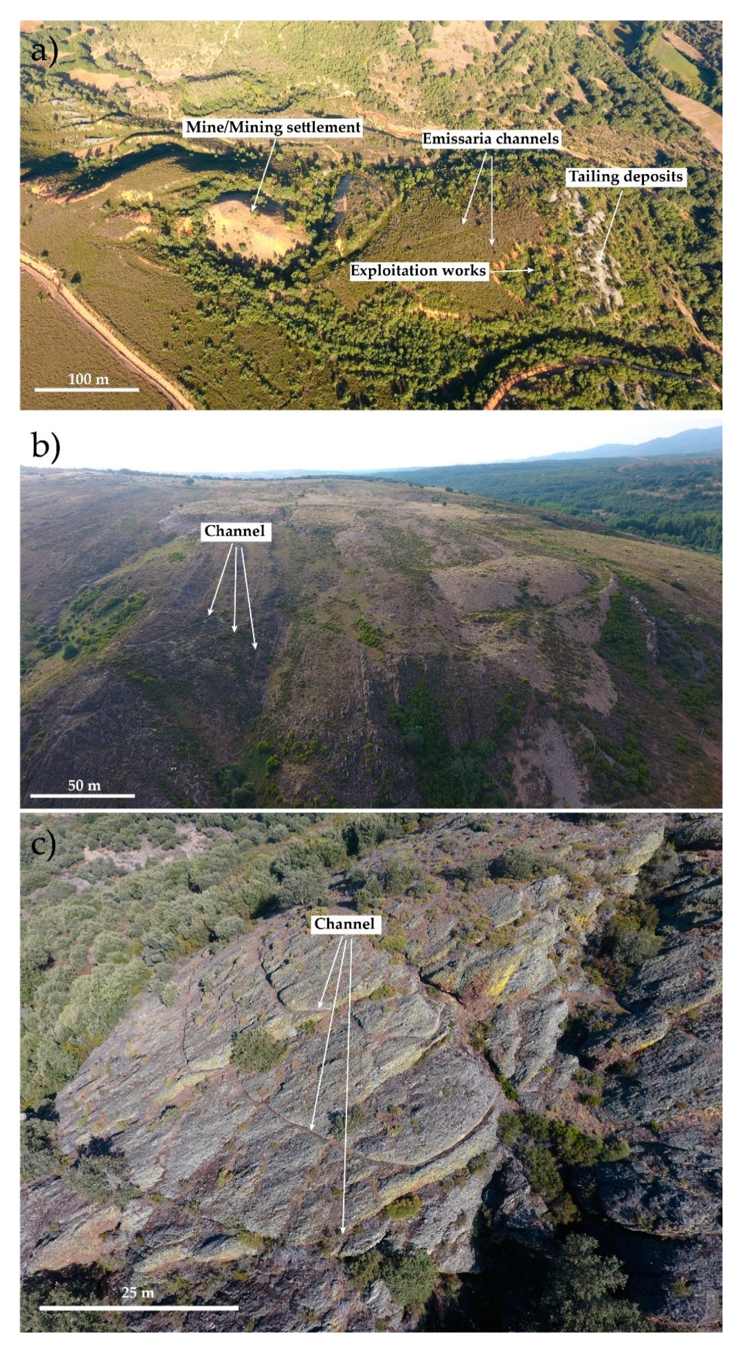 Remotesensing 13 00291 g003