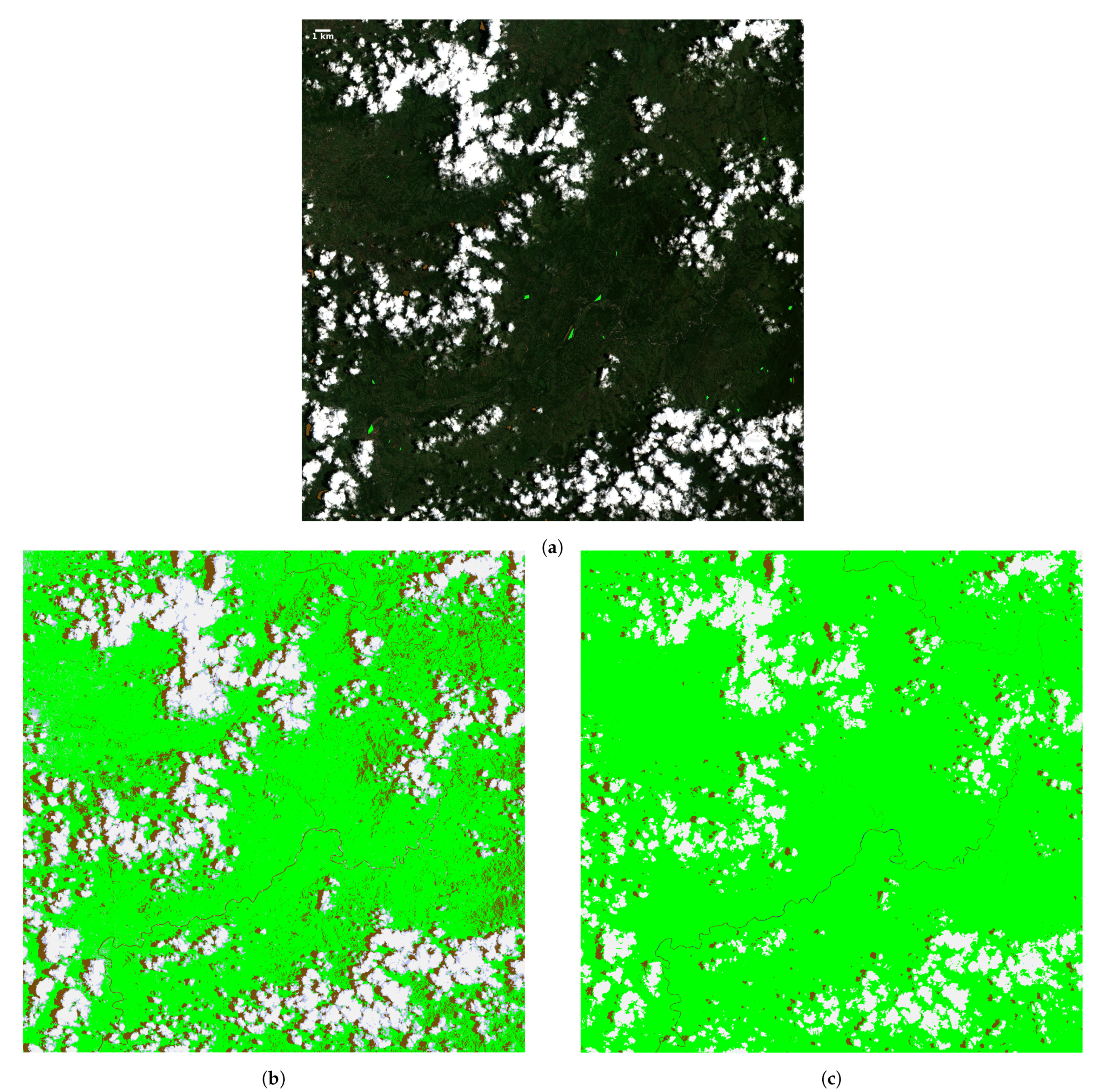 Remotesensing 13 00300 g007