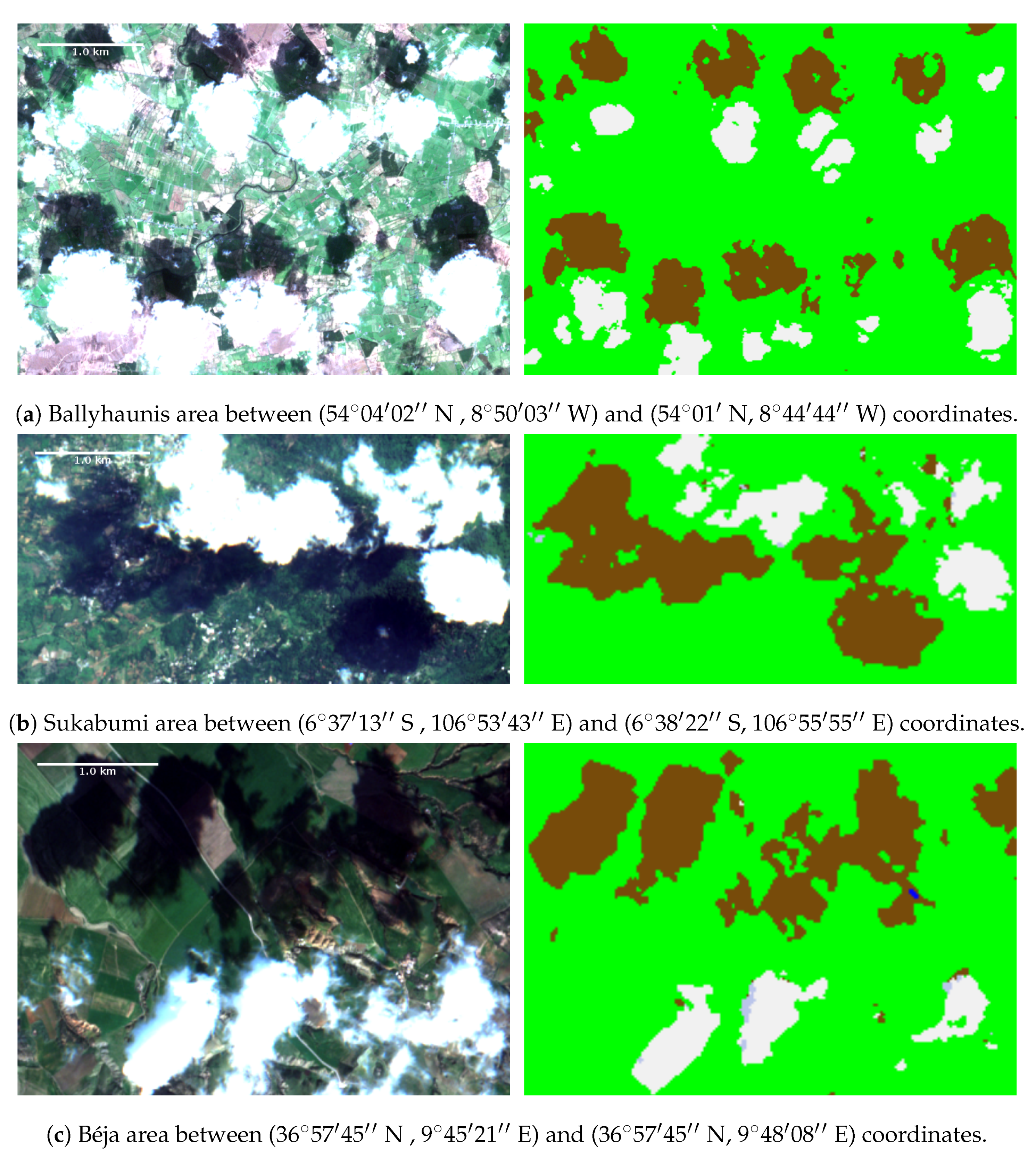 Remotesensing 13 00300 g009
