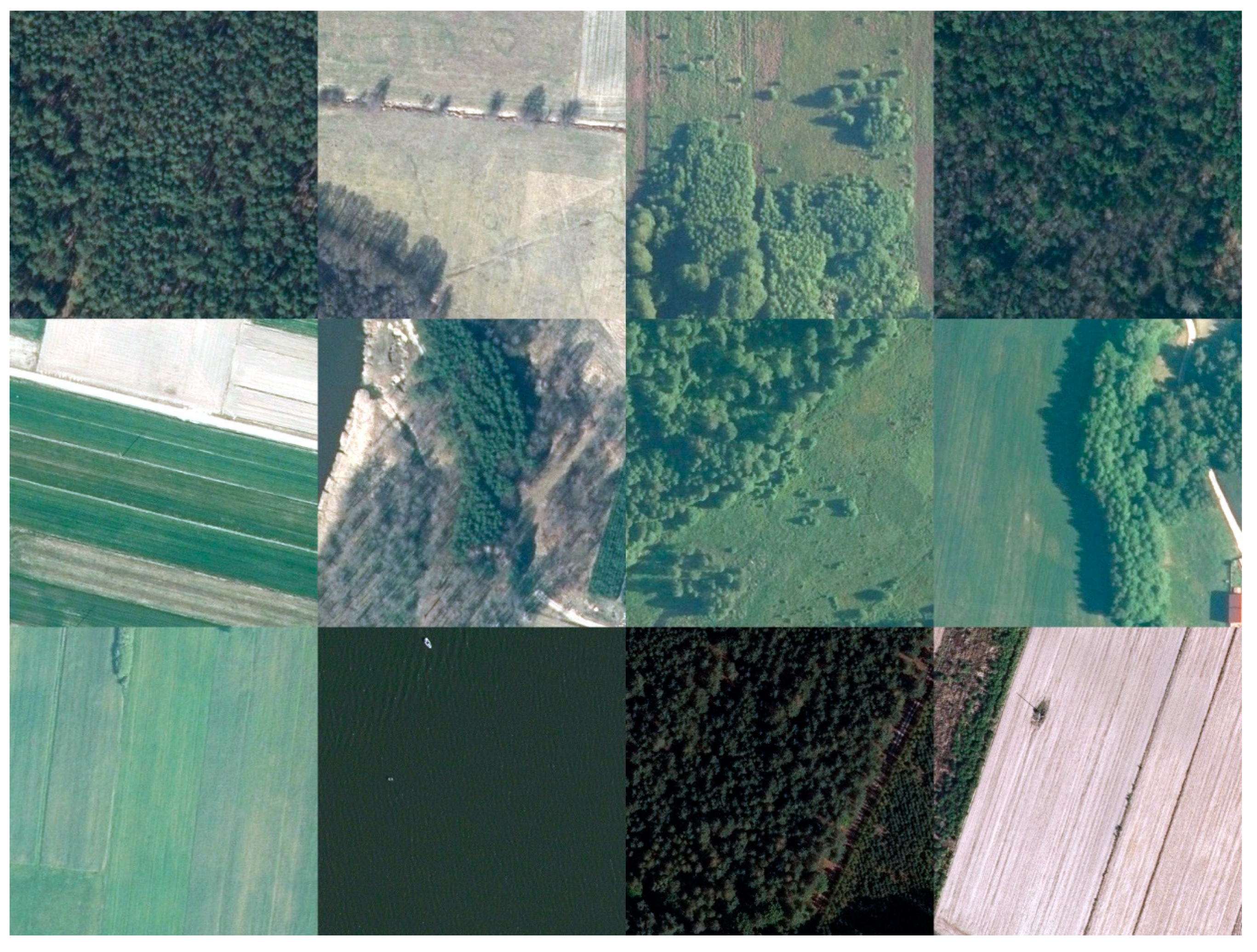 Remotesensing 13 00306 g003