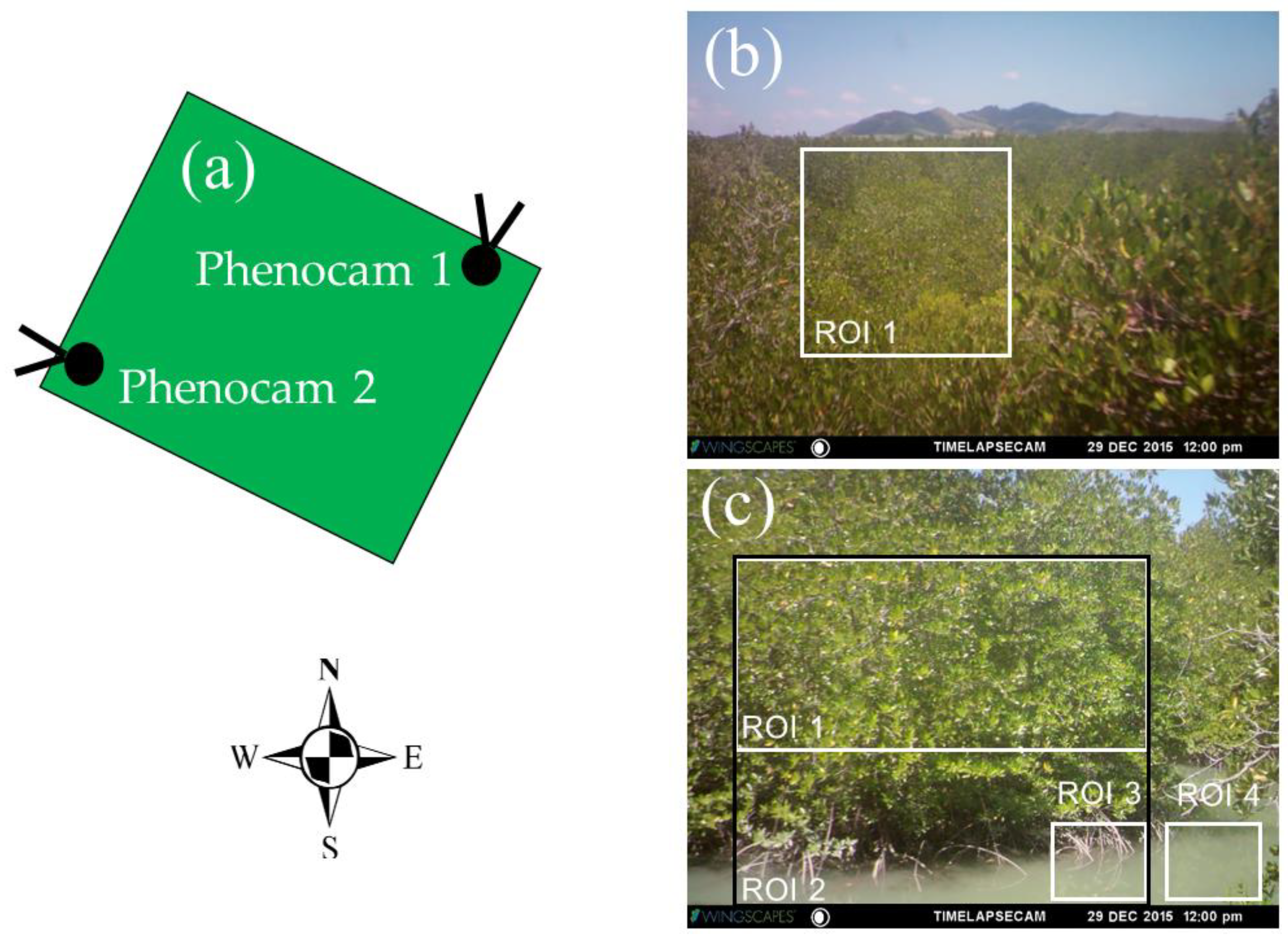 Remotesensing 13 00307 g002