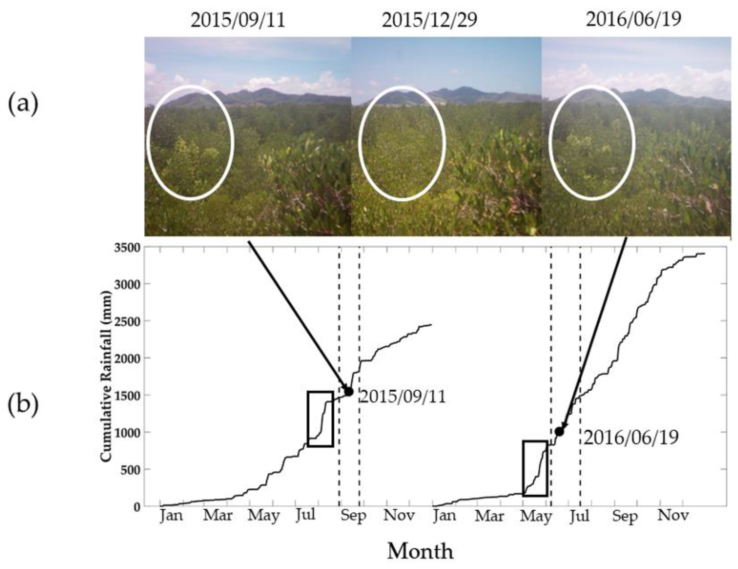 Remotesensing 13 00307 g008