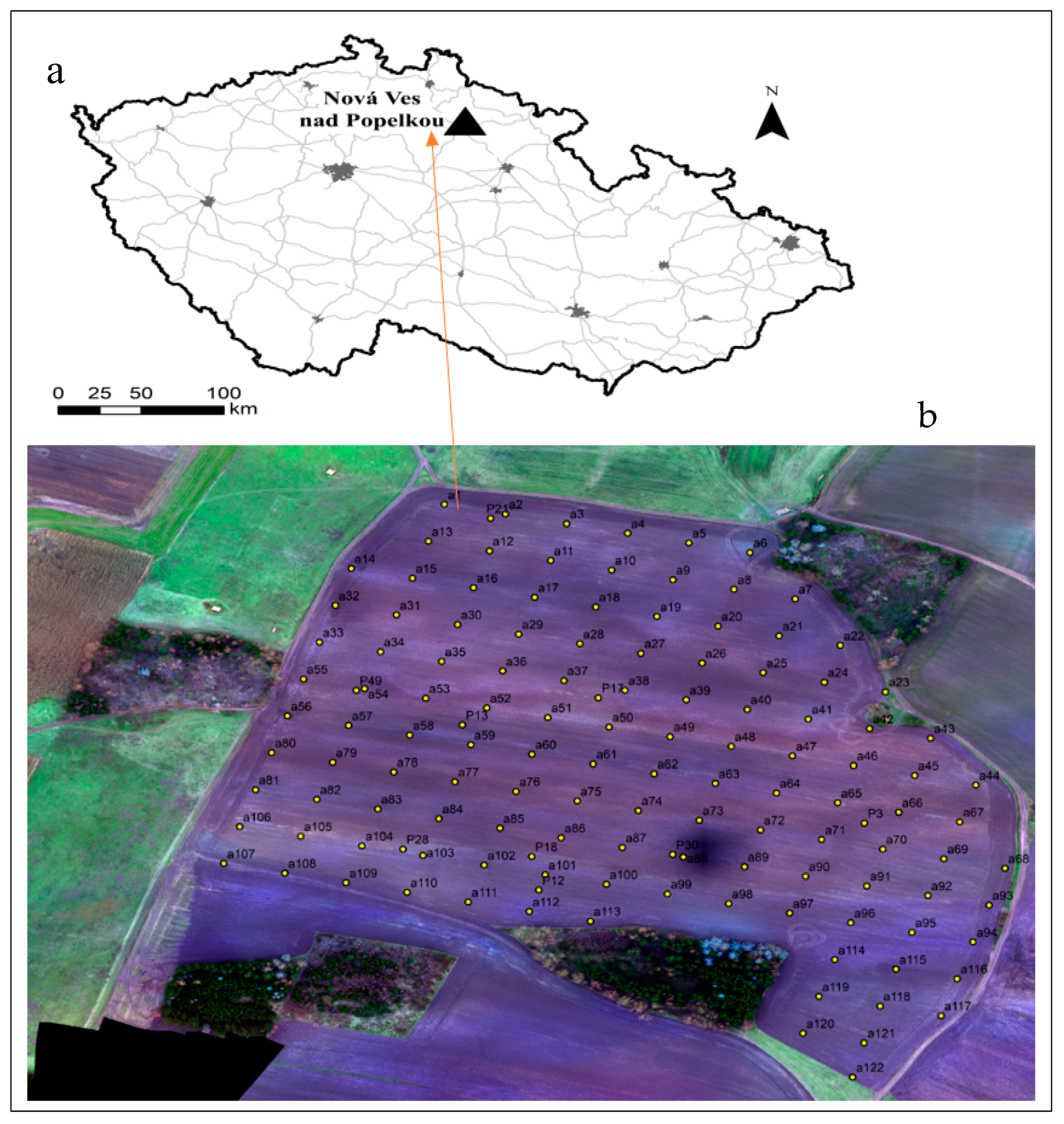 Remotesensing 13 00308 g001 Remotesensing 13 00308 g001