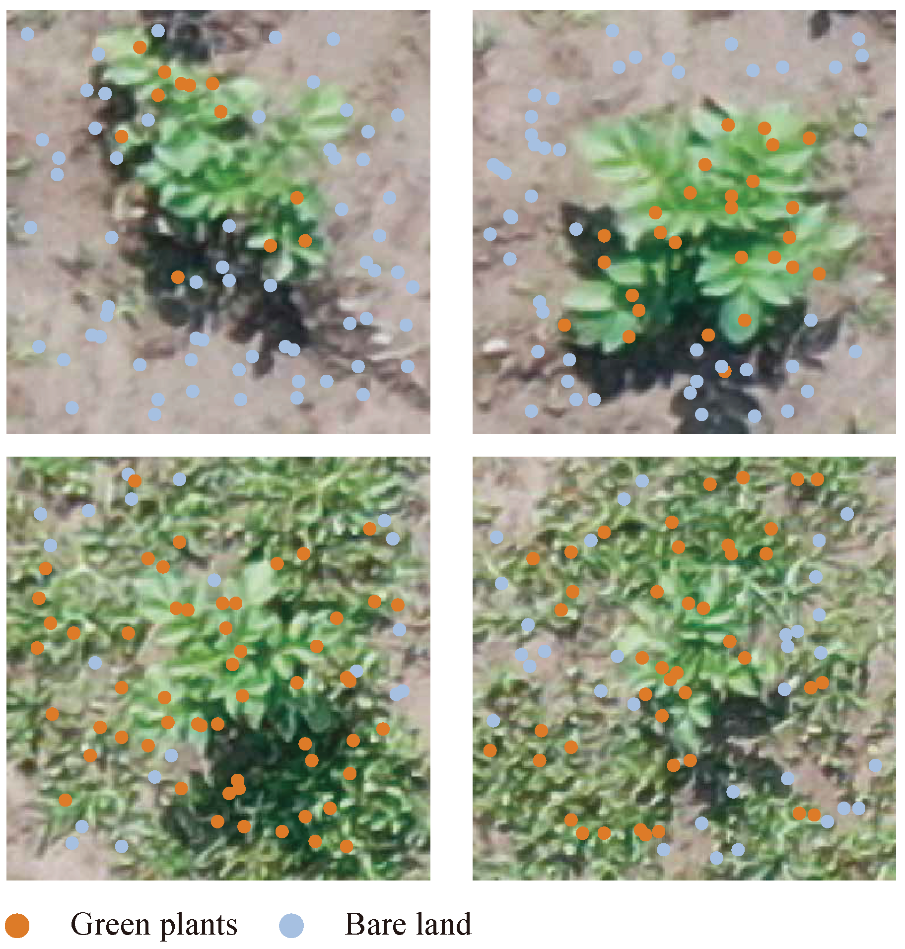 Remotesensing 13 00310 g007 Remotesensing 13 00310 g007