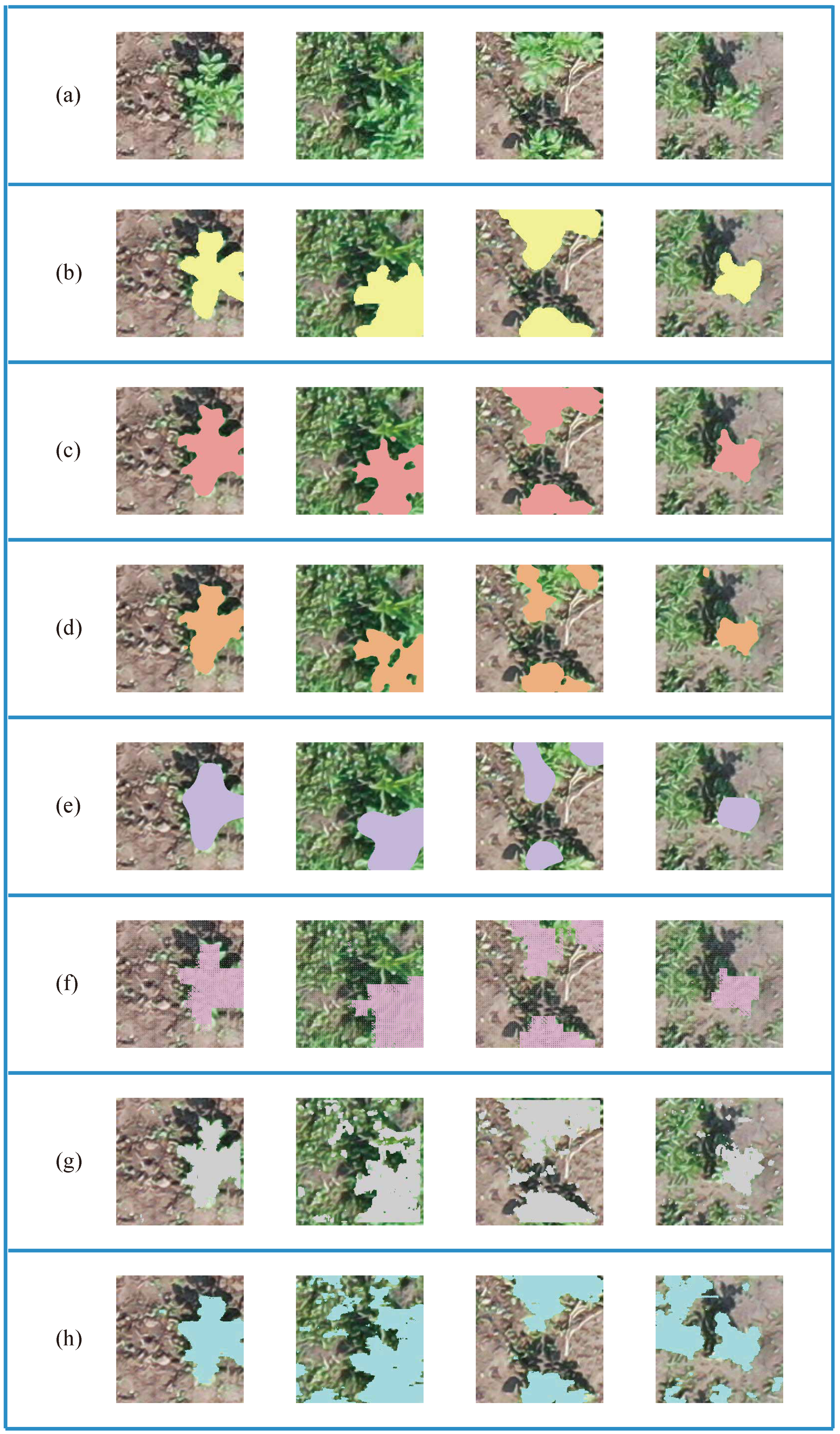 Remotesensing 13 00310 g012 Remotesensing 13 00310 g012