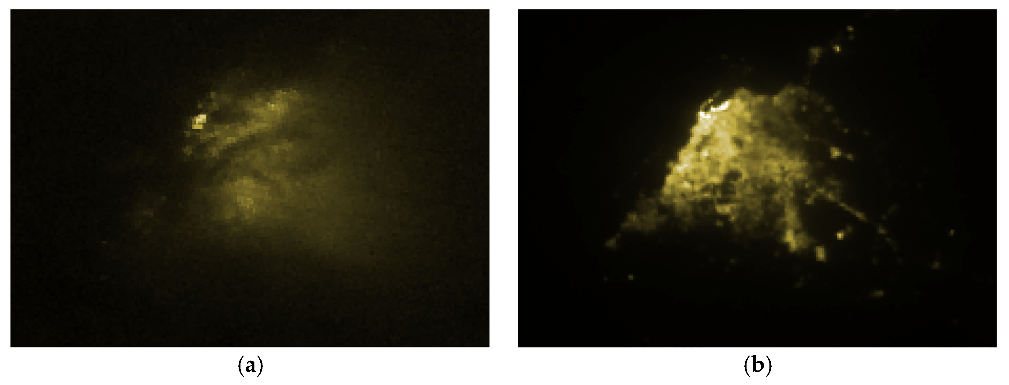 Remotesensing 13 00314 g002