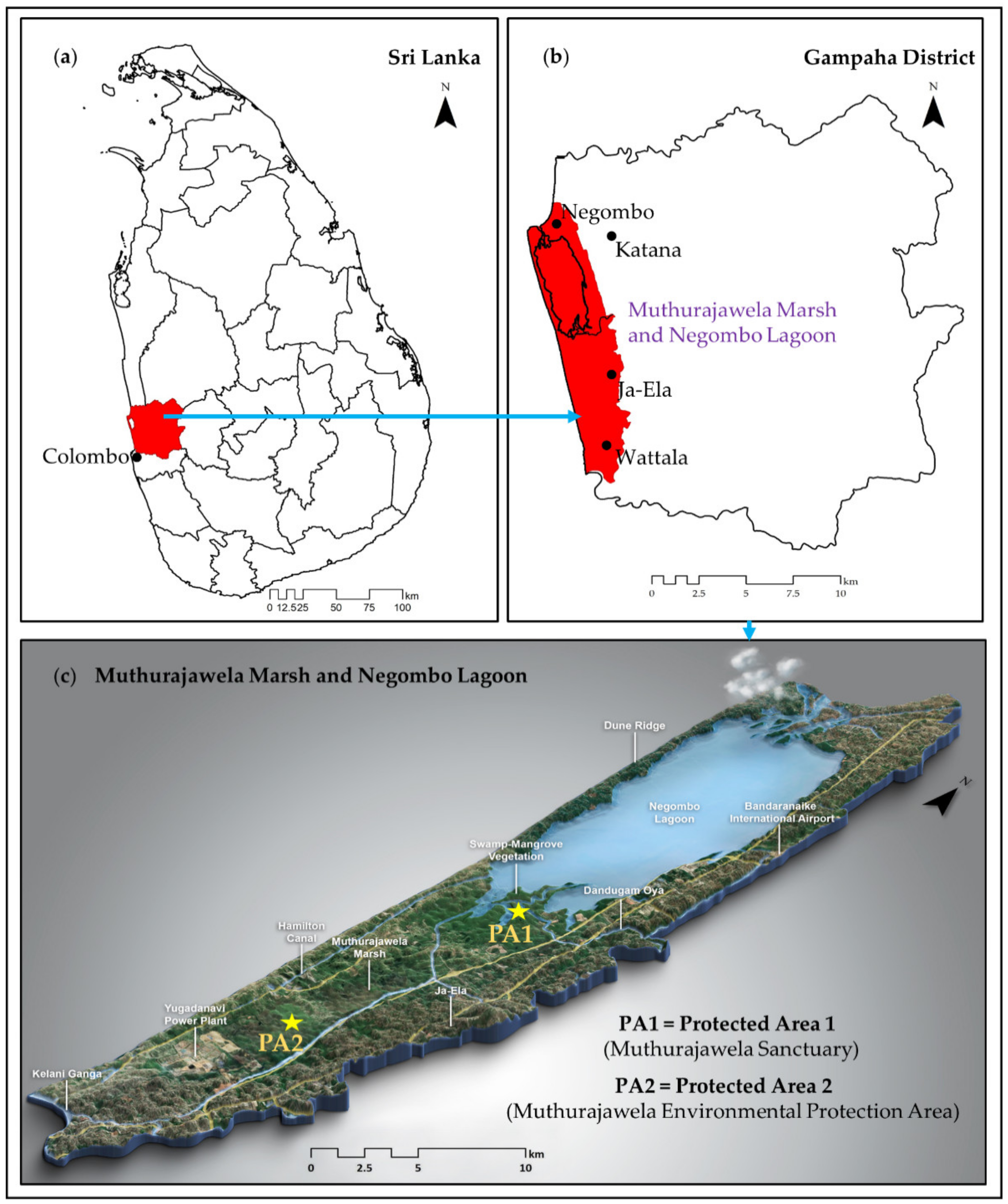 Remotesensing 13 00316 g002