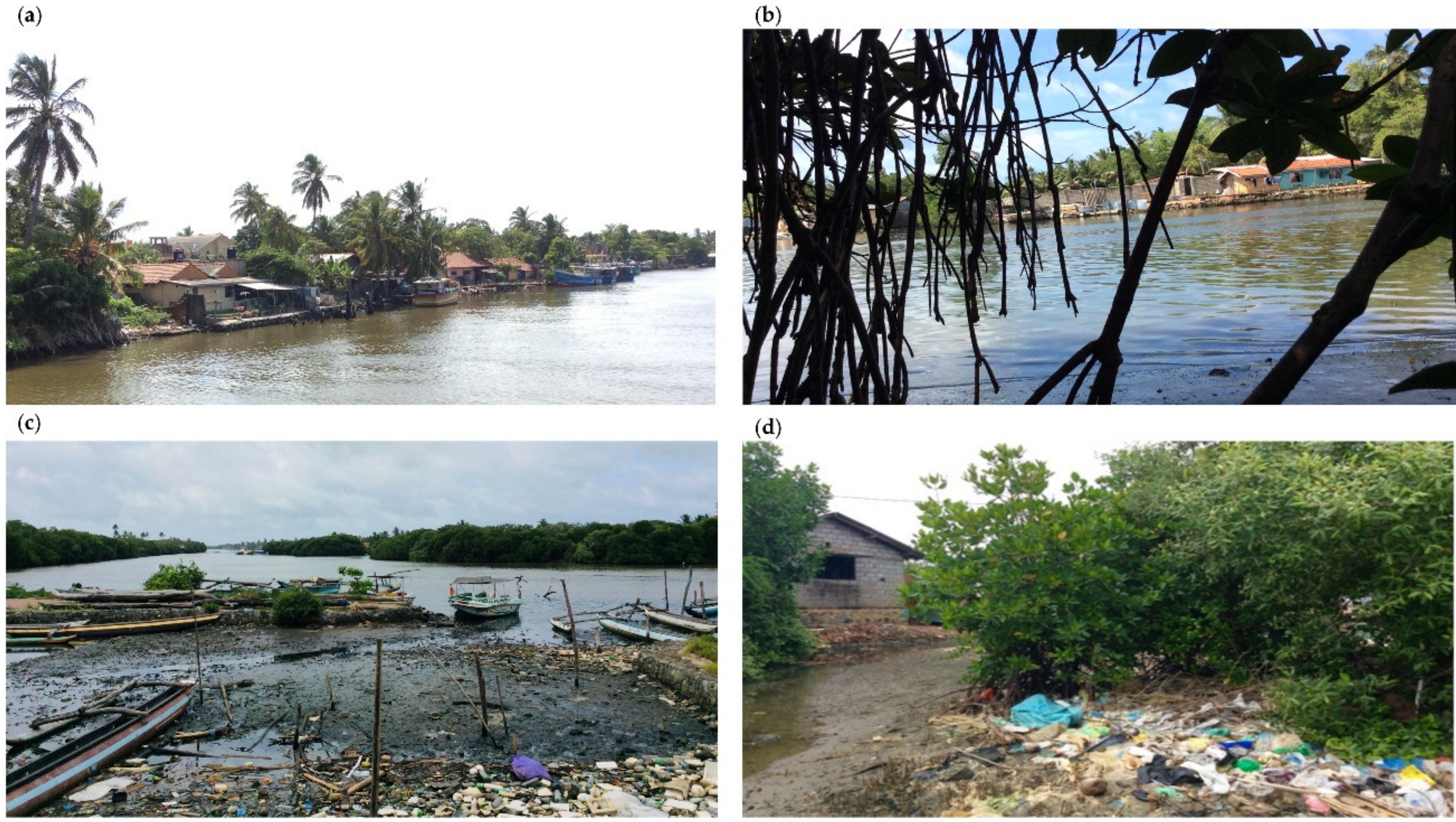 Remotesensing 13 00316 g009